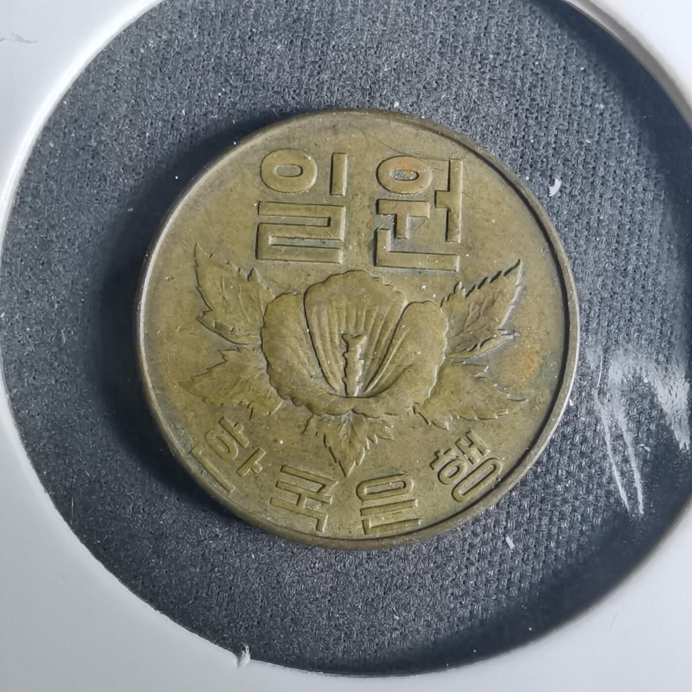 沼泽如烟--第919场