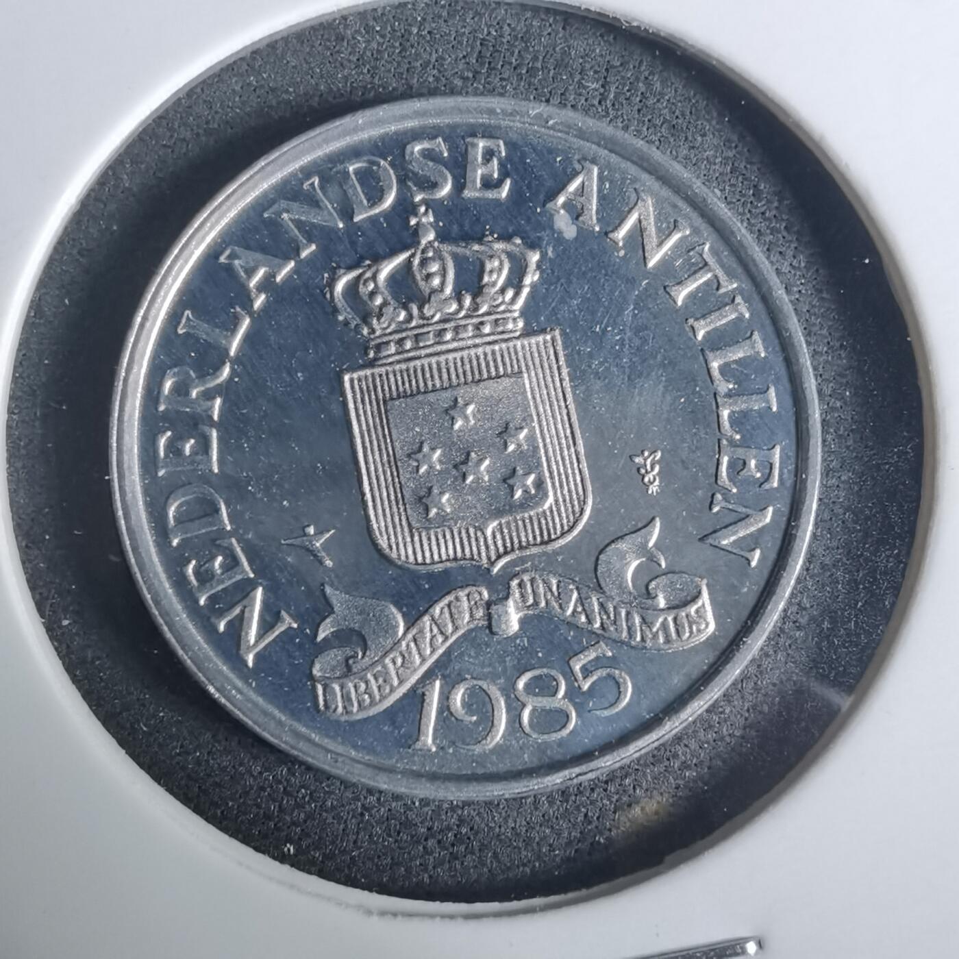 沼泽如烟--第919场