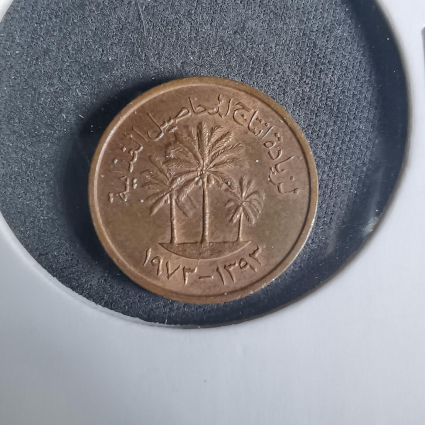 沼泽如烟--第919场