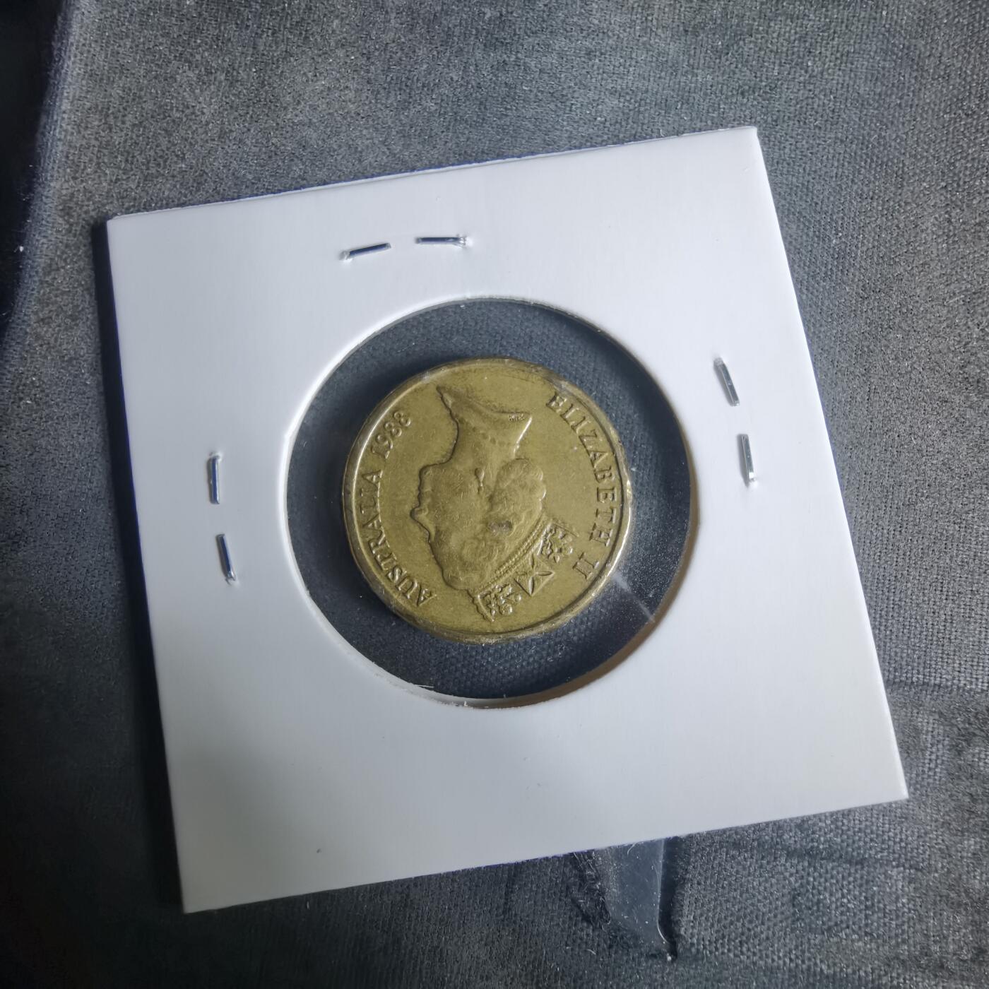 沼泽如烟--第919场