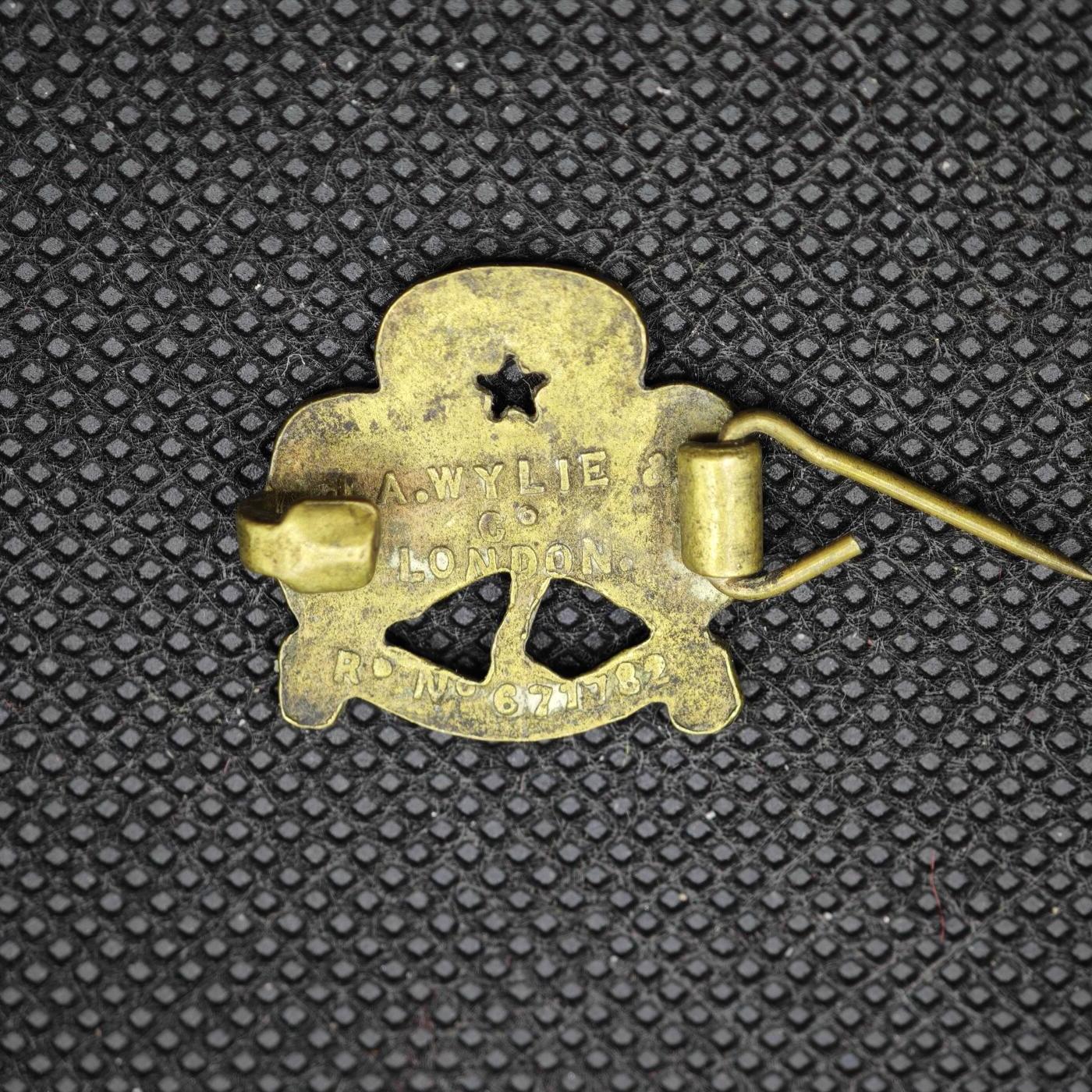 【淘币小摊】限时拍第八百一十六拍  纪念章场  满百包邮可预留两周  周一统一发货   三叶草主题社团徽章直径23mm