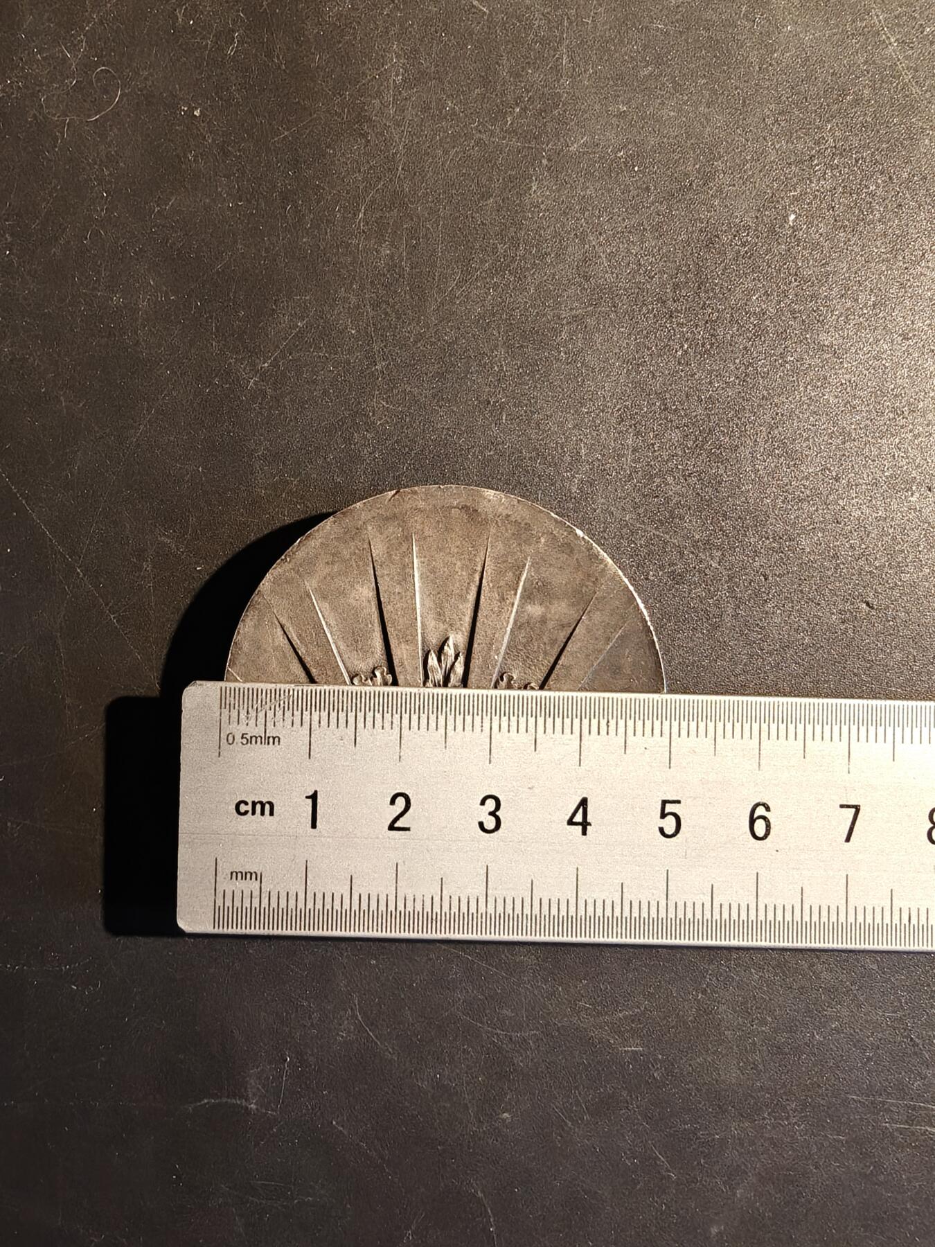 老王徽章第167期 法国体育协会镀银大铜章     直径50mm.   重量60.8g