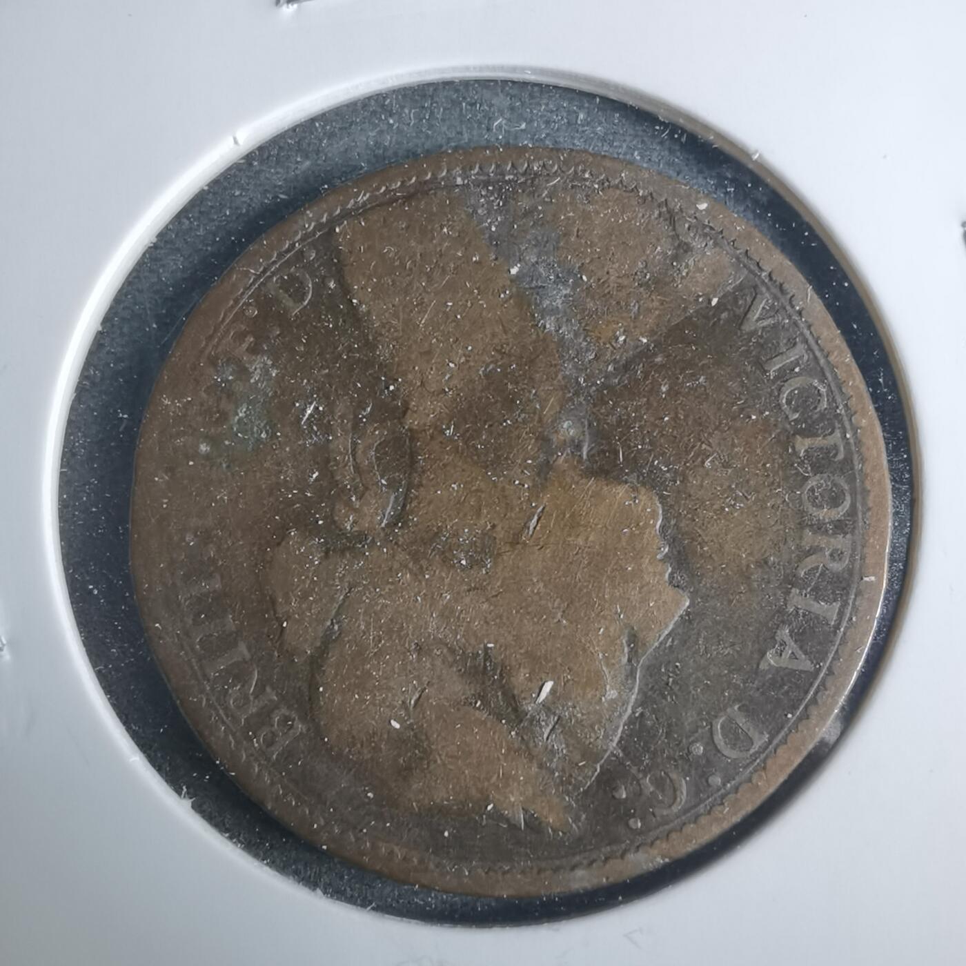 沼泽如烟--第919场