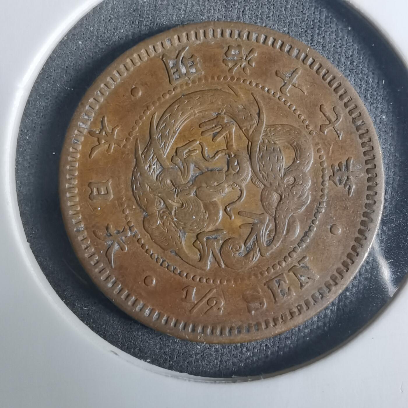 沼泽如烟--第919场