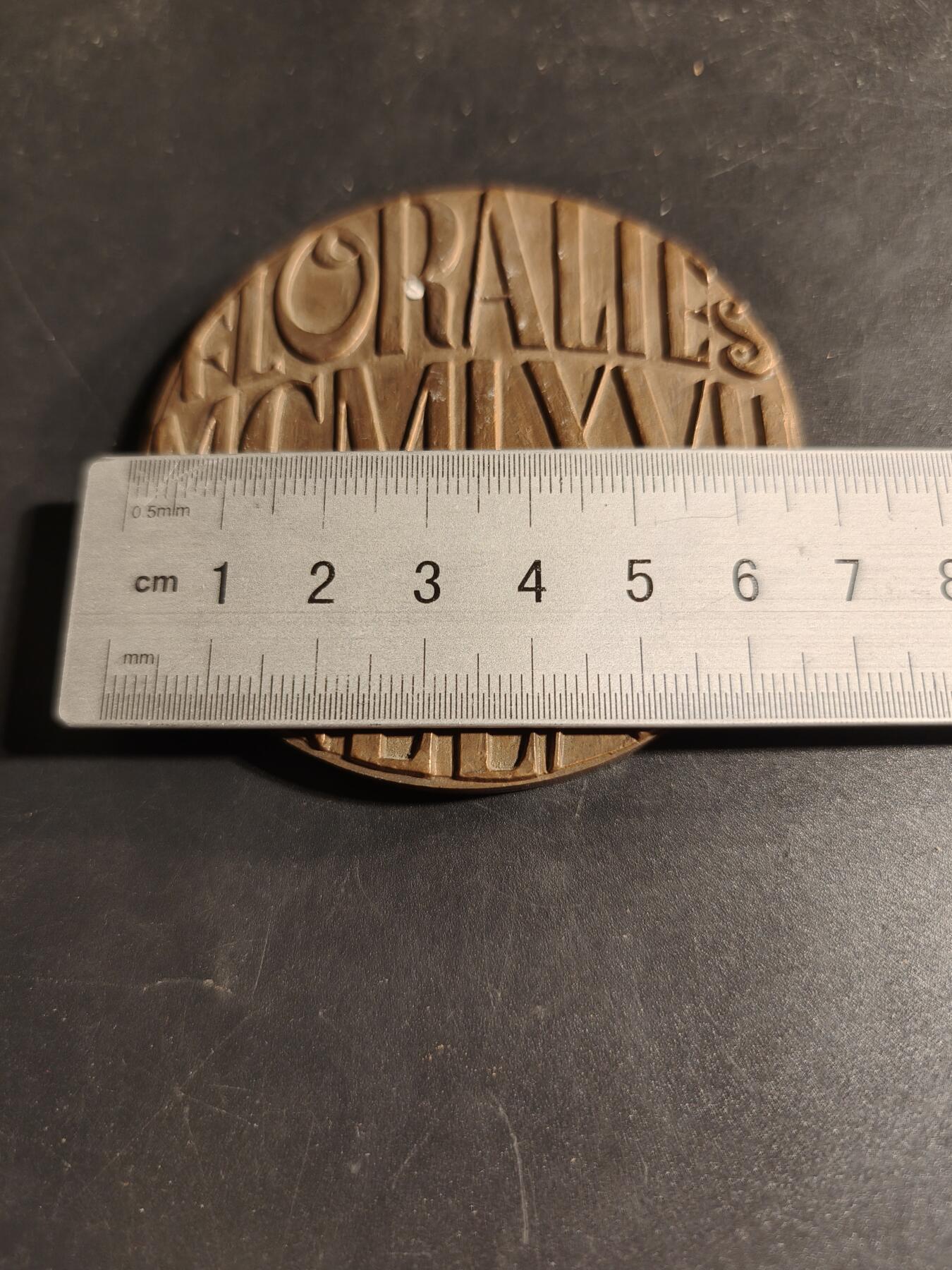 老王徽章第167期 法国大铜章    直径68mm.   重量170g