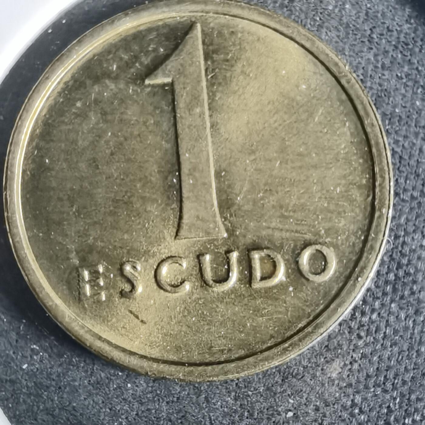 沼泽如烟--第919场