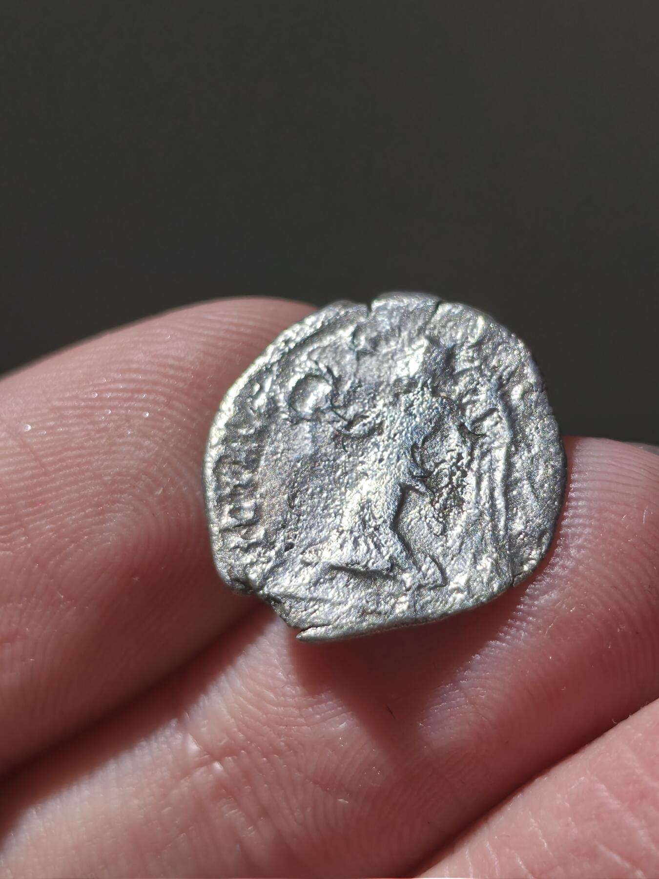 星盘世界钱币十二月六日古典币专场