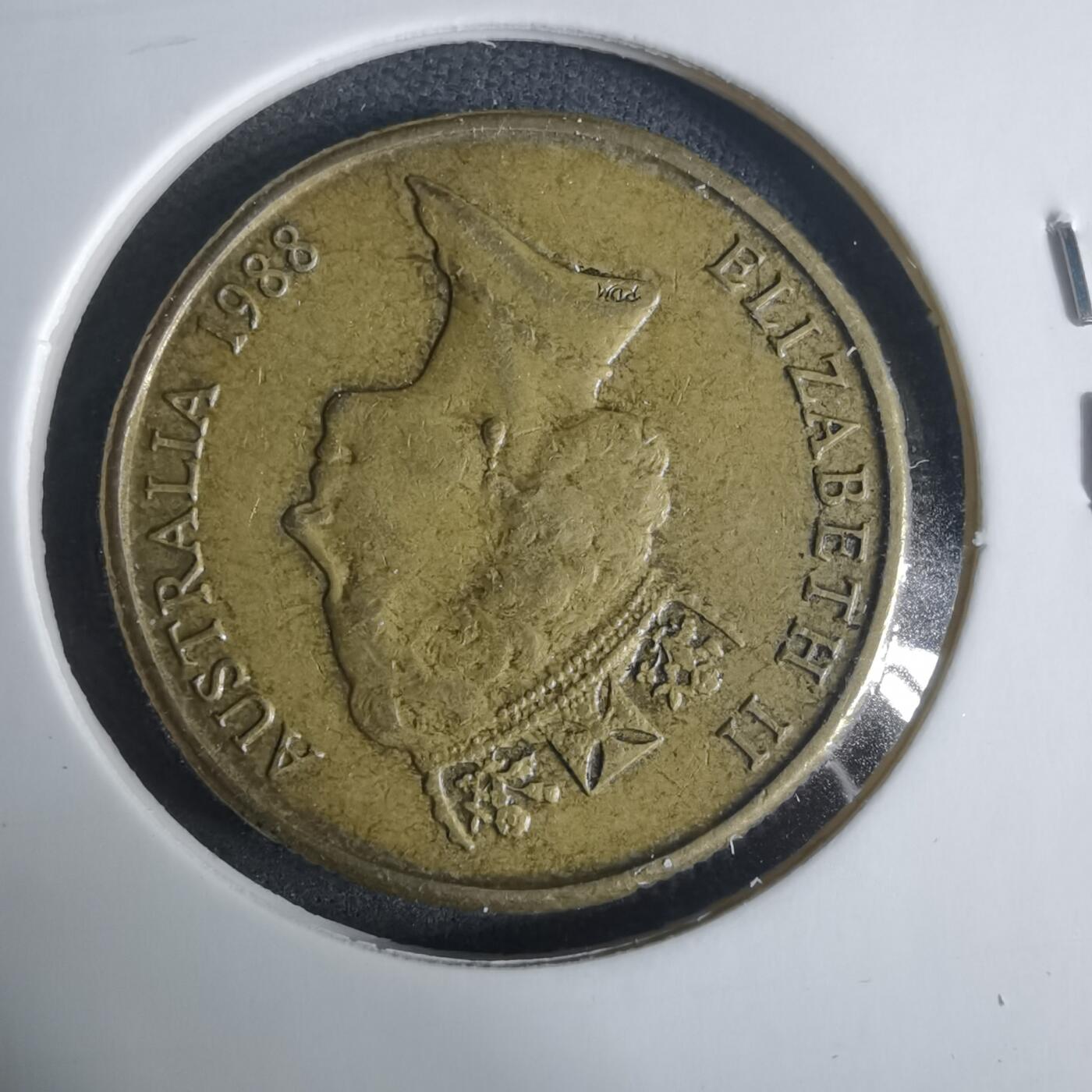 沼泽如烟--第919场