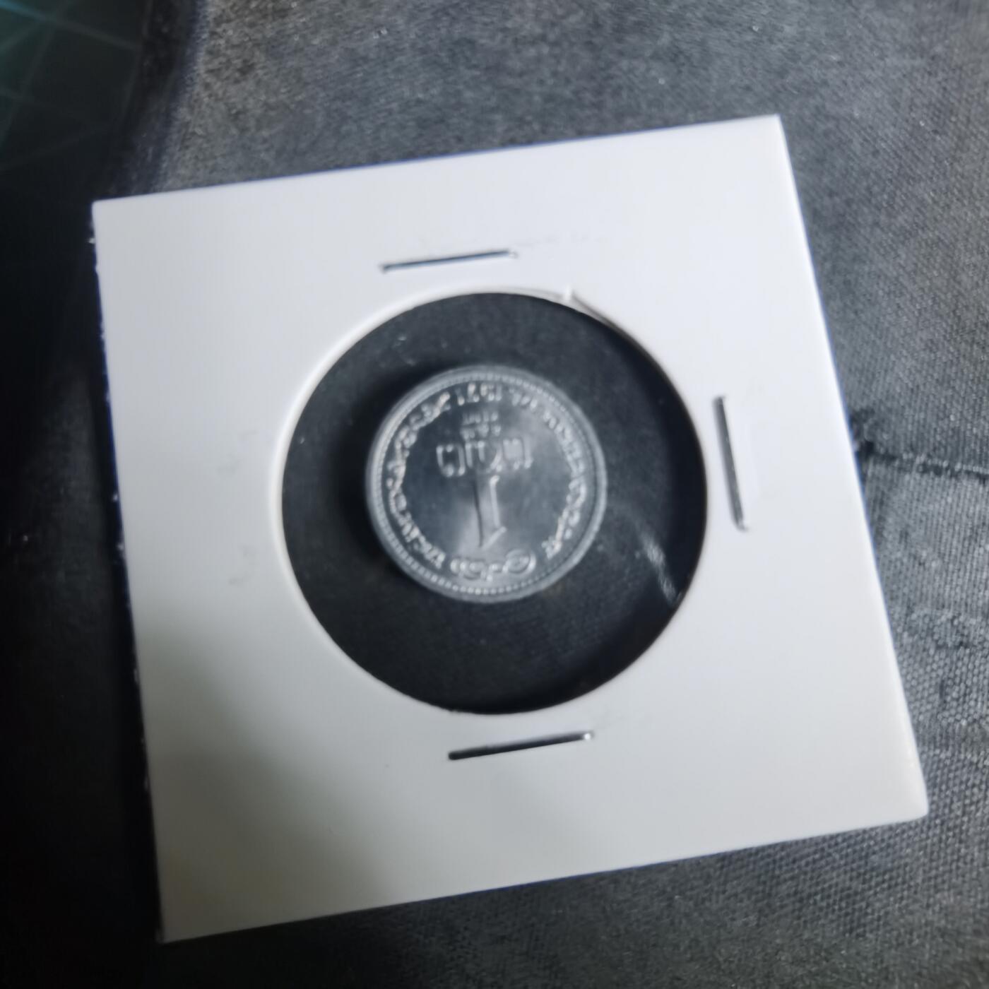 沼泽如烟--第919场