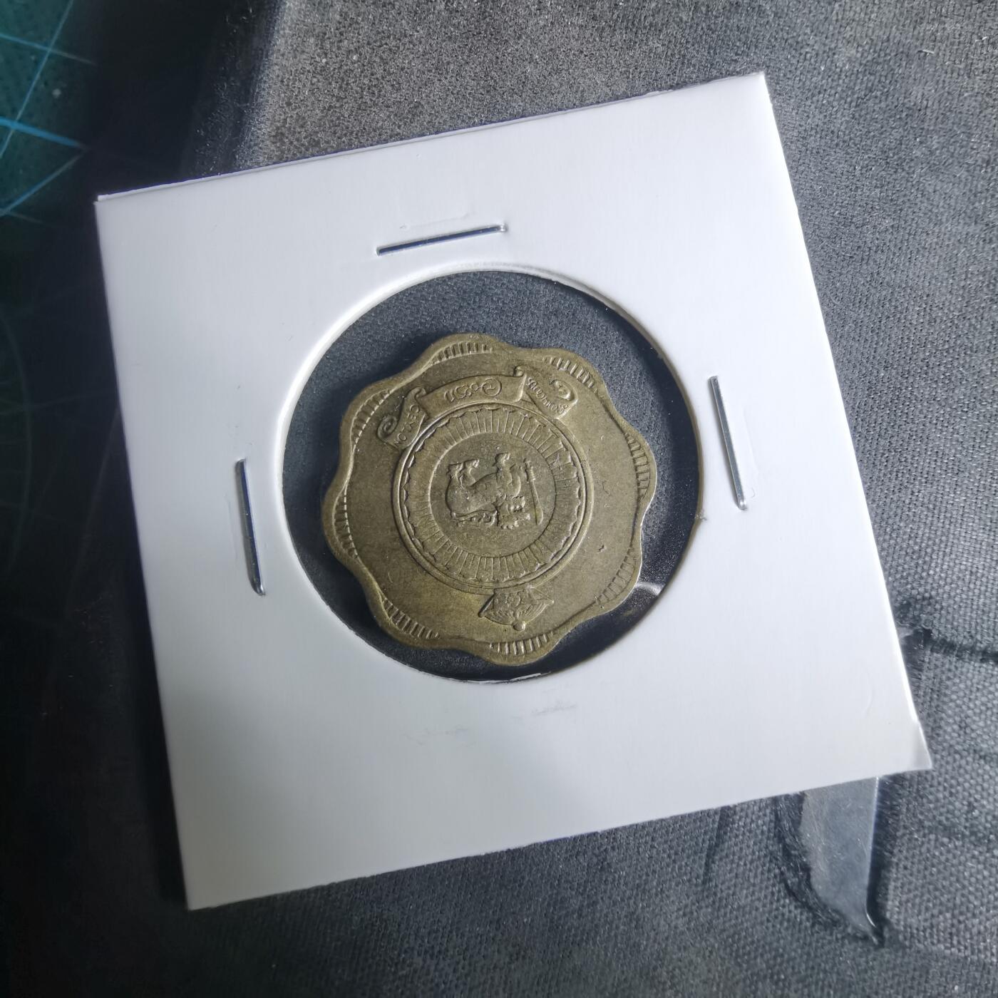 沼泽如烟--第919场