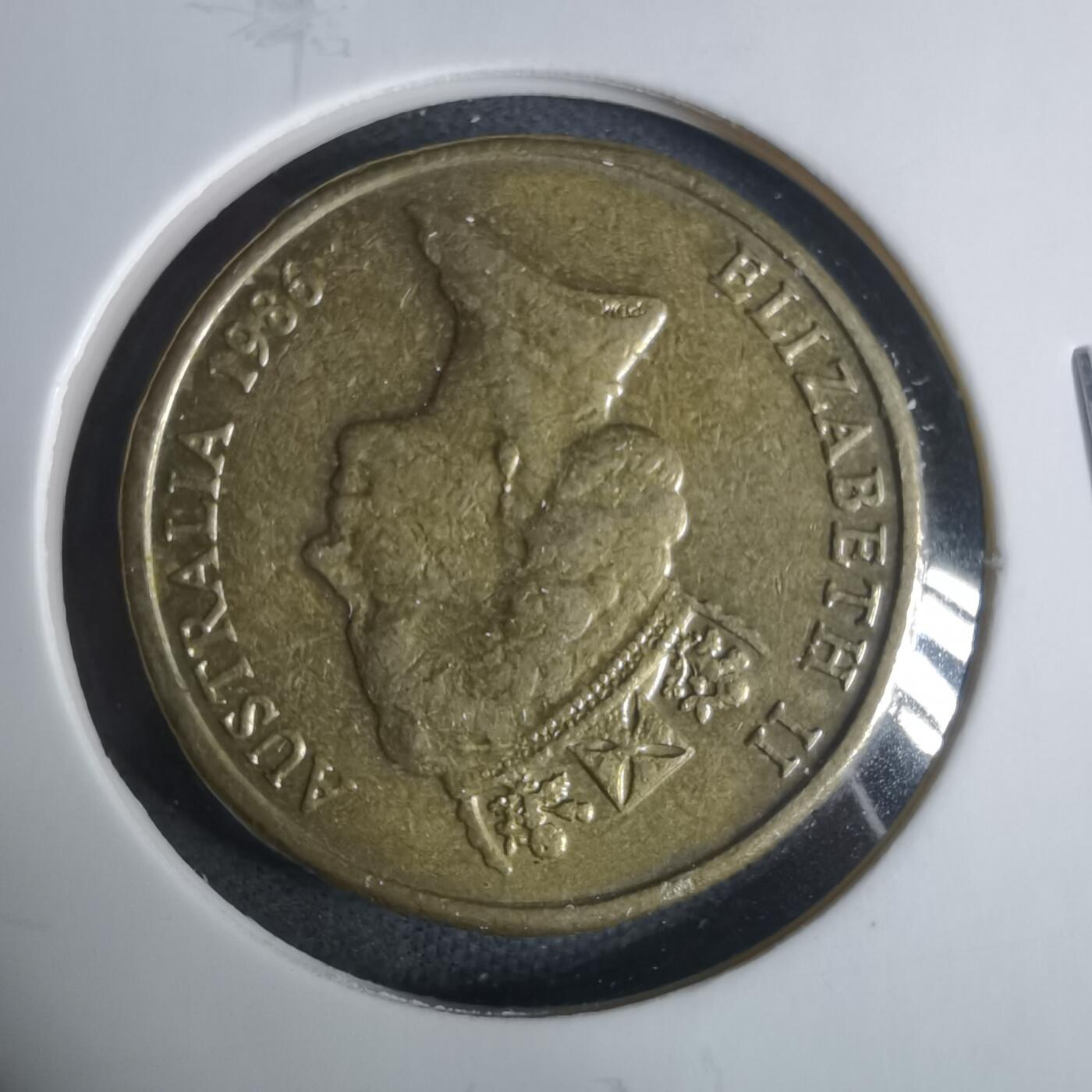 沼泽如烟--第919场