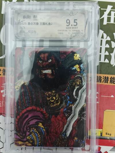 第十五期（周日截拍）惊喜不断看简介 - 2025 昆仑万象 三国礼盒2
张飞
权迎东