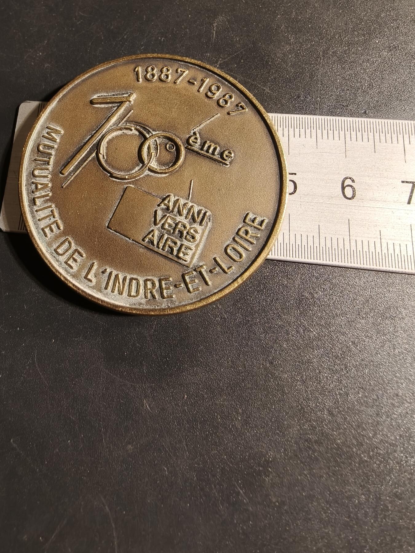 老王徽章第167期 法国安茹-卢瓦尔互助会成立百年纪念章     直径50mm.    重量60.5g