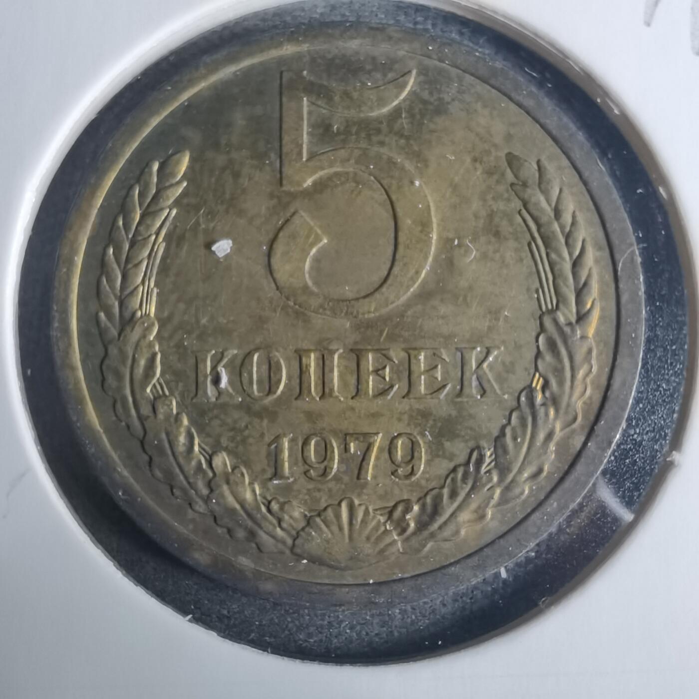 沼泽如烟--第919场