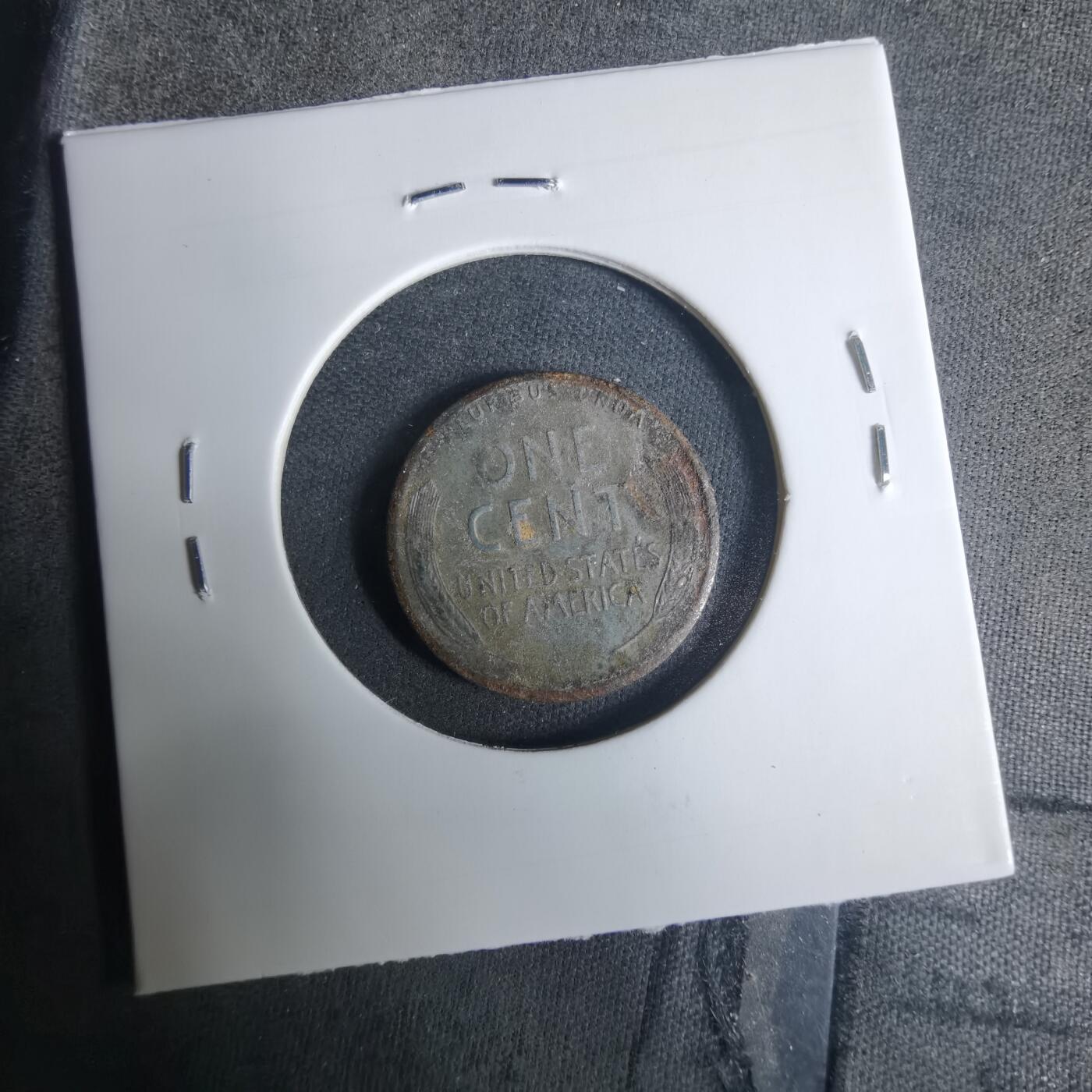 沼泽如烟--第919场