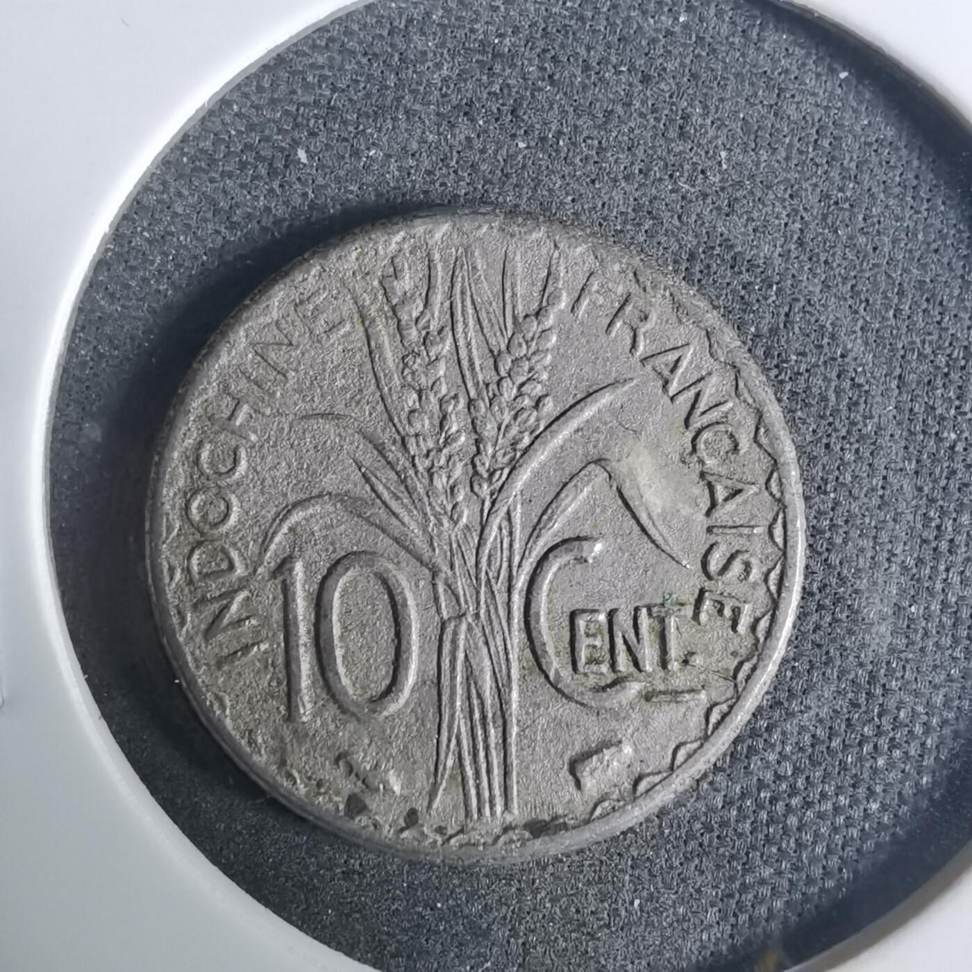 沼泽如烟--第919场