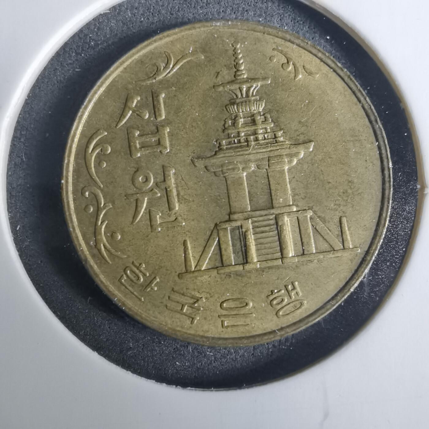 沼泽如烟--第919场