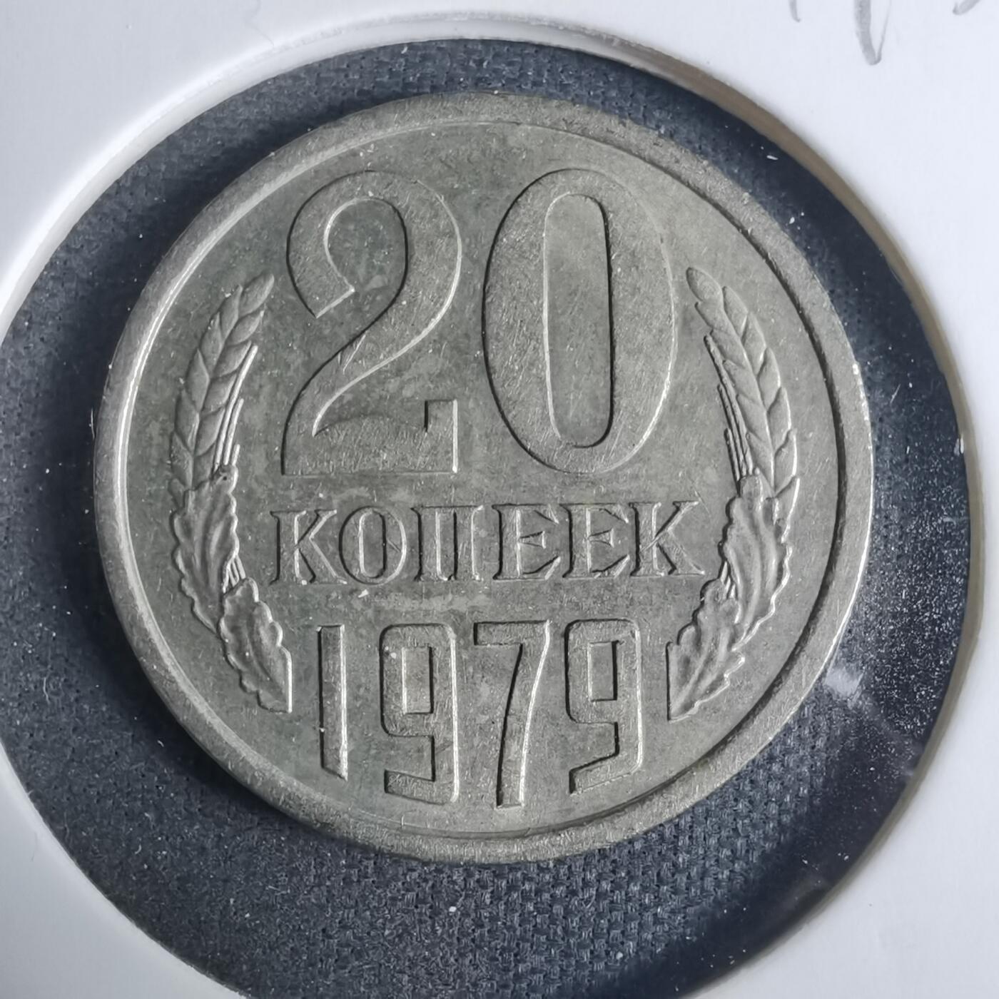 沼泽如烟--第919场