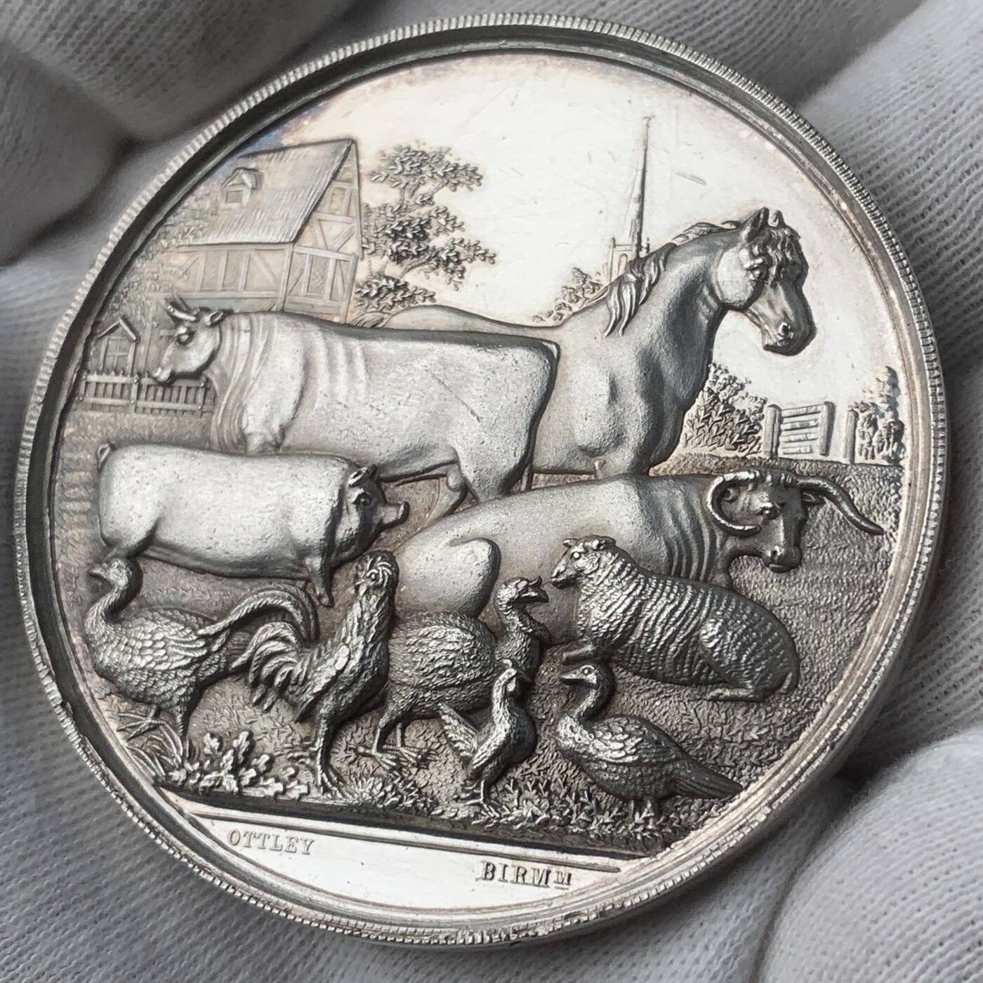 掌中浮雕-藏着的欧洲第044场