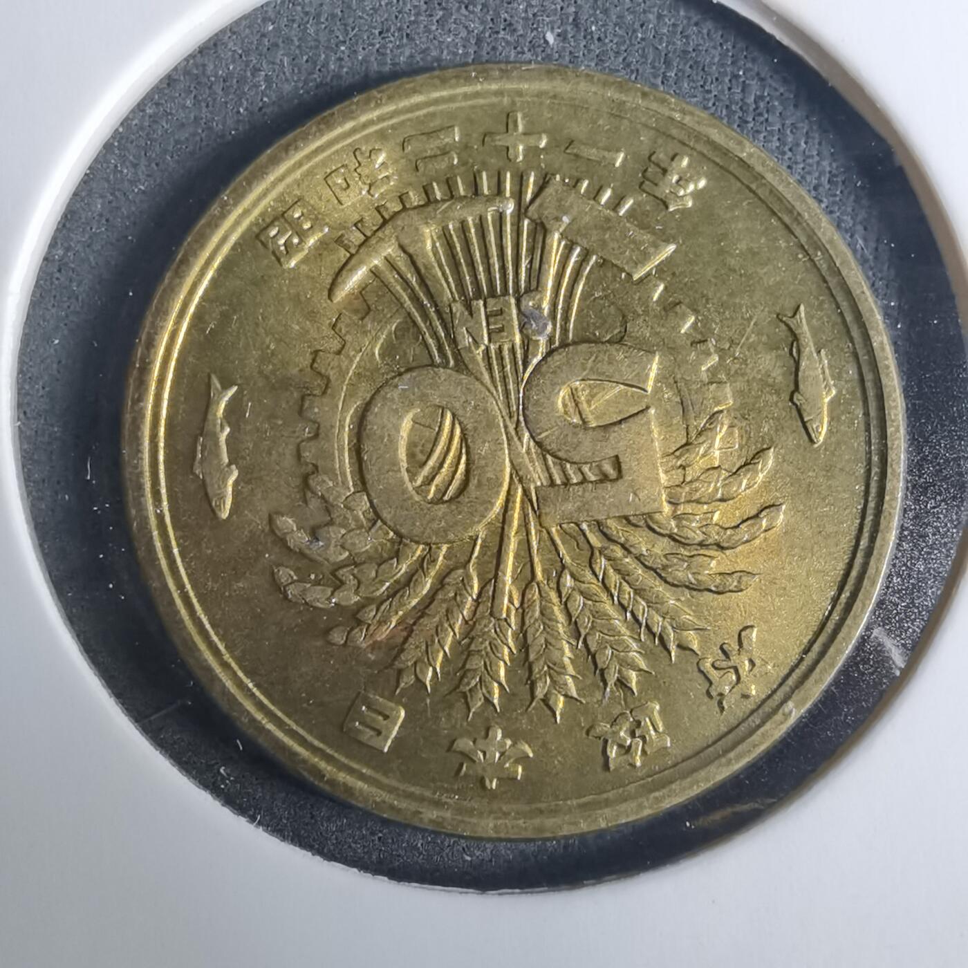 沼泽如烟--第919场