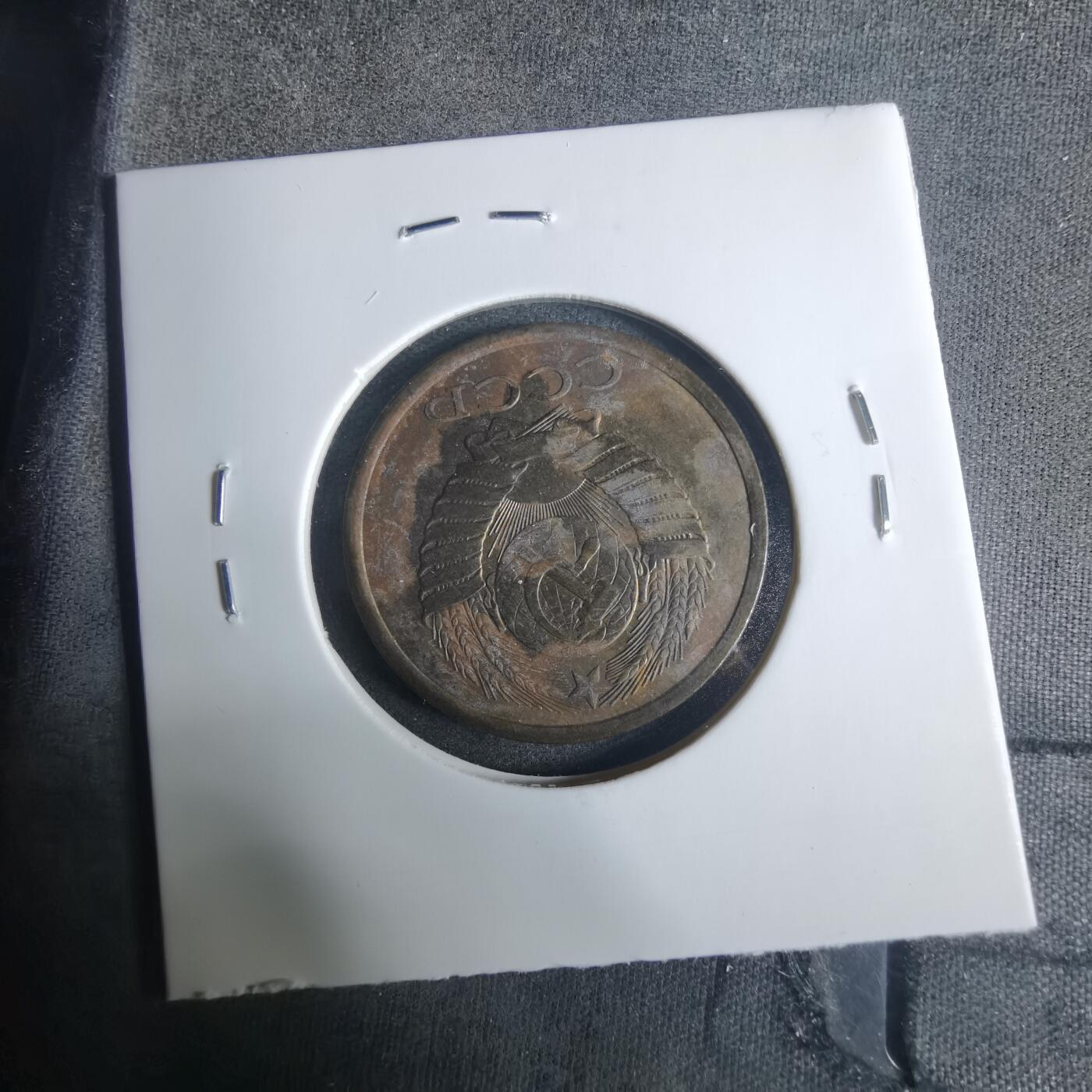 沼泽如烟--第919场