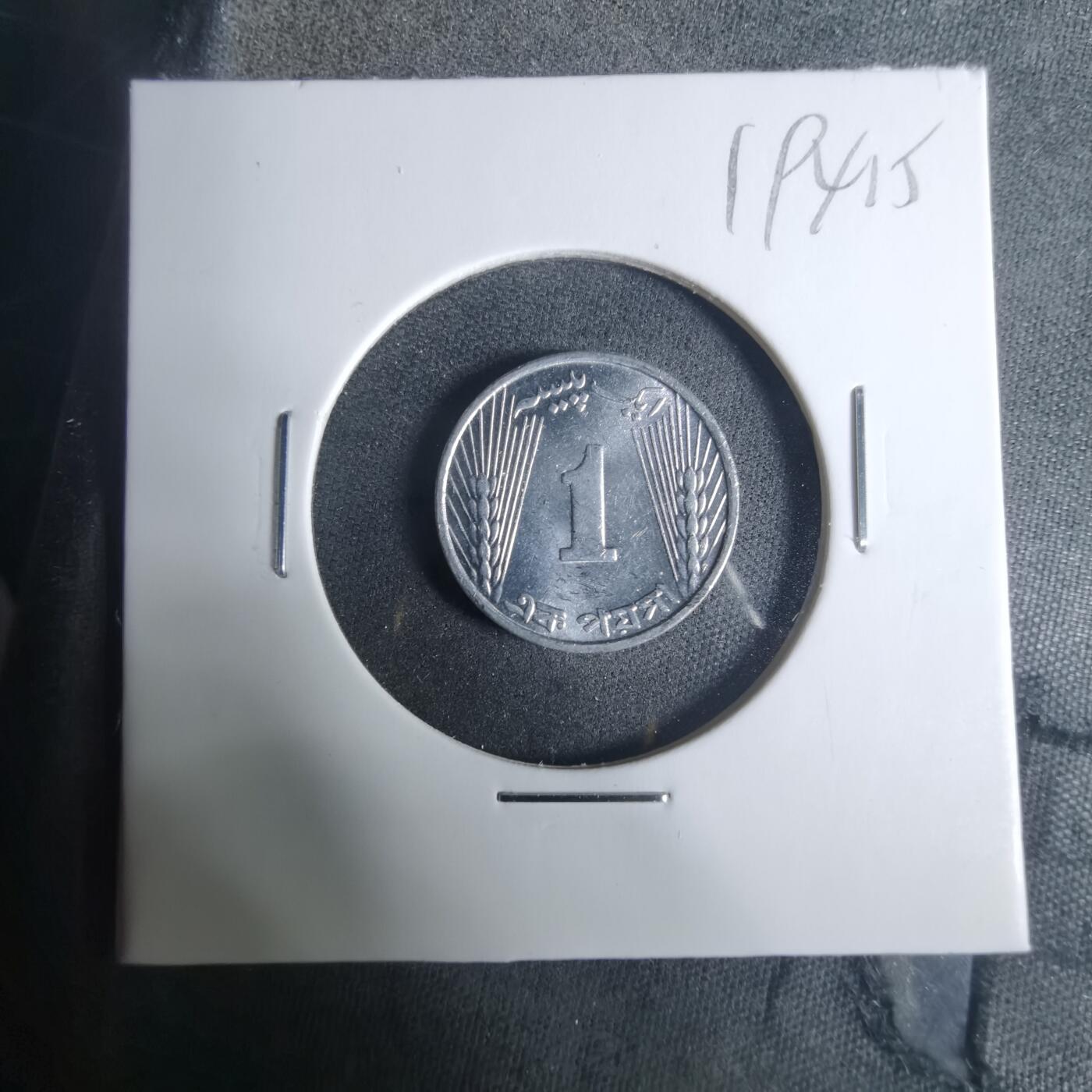 沼泽如烟--第919场