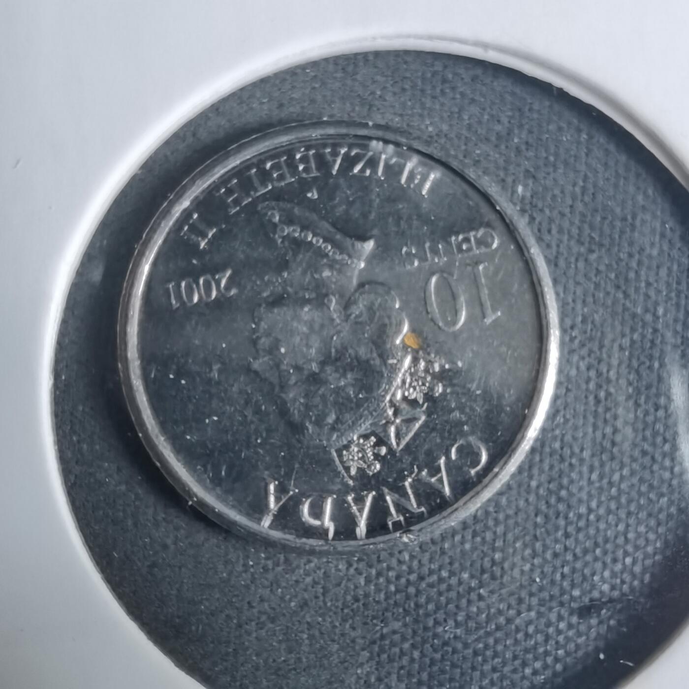 沼泽如烟--第919场