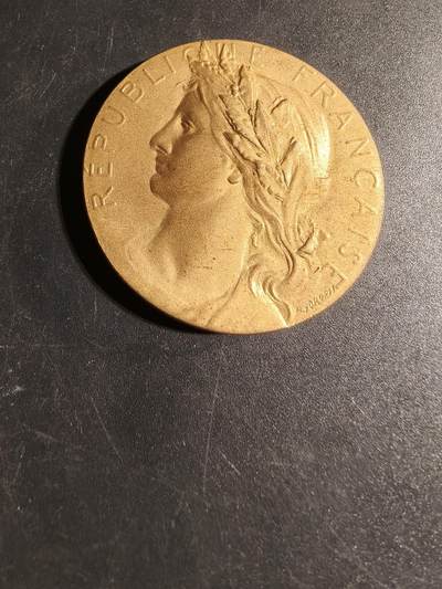 老王徽章第167期 - 法国S.I.C.A.E.全国联合会成立30周年纪念章     直径41mm.   重量38.1g