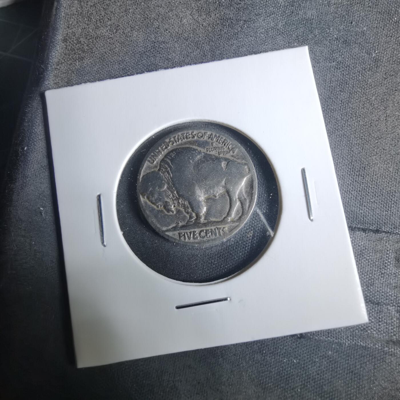 沼泽如烟--第919场 美国野牛五分