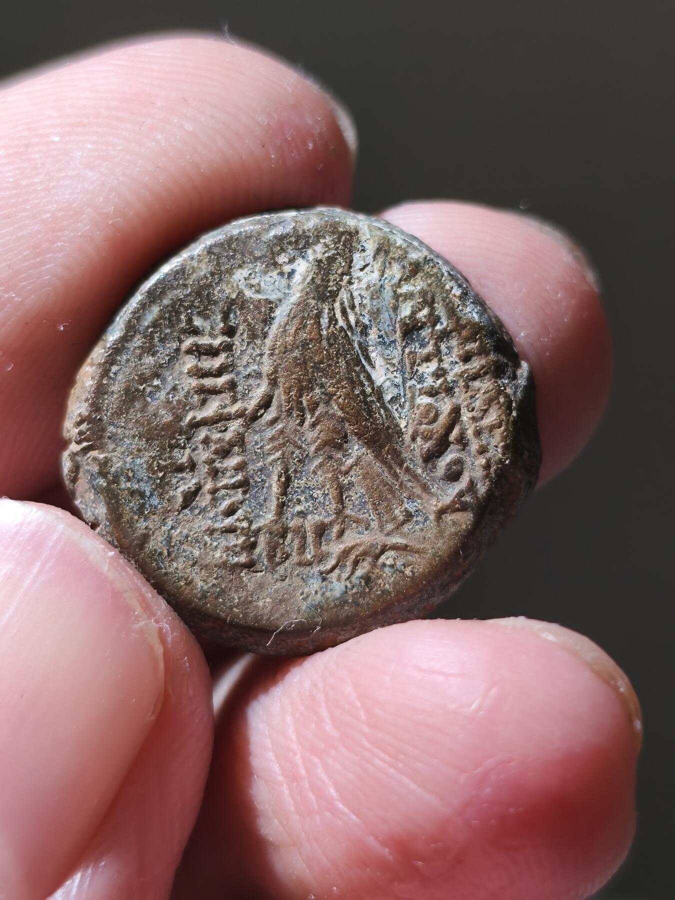 星盘世界钱币十二月六日古典币专场