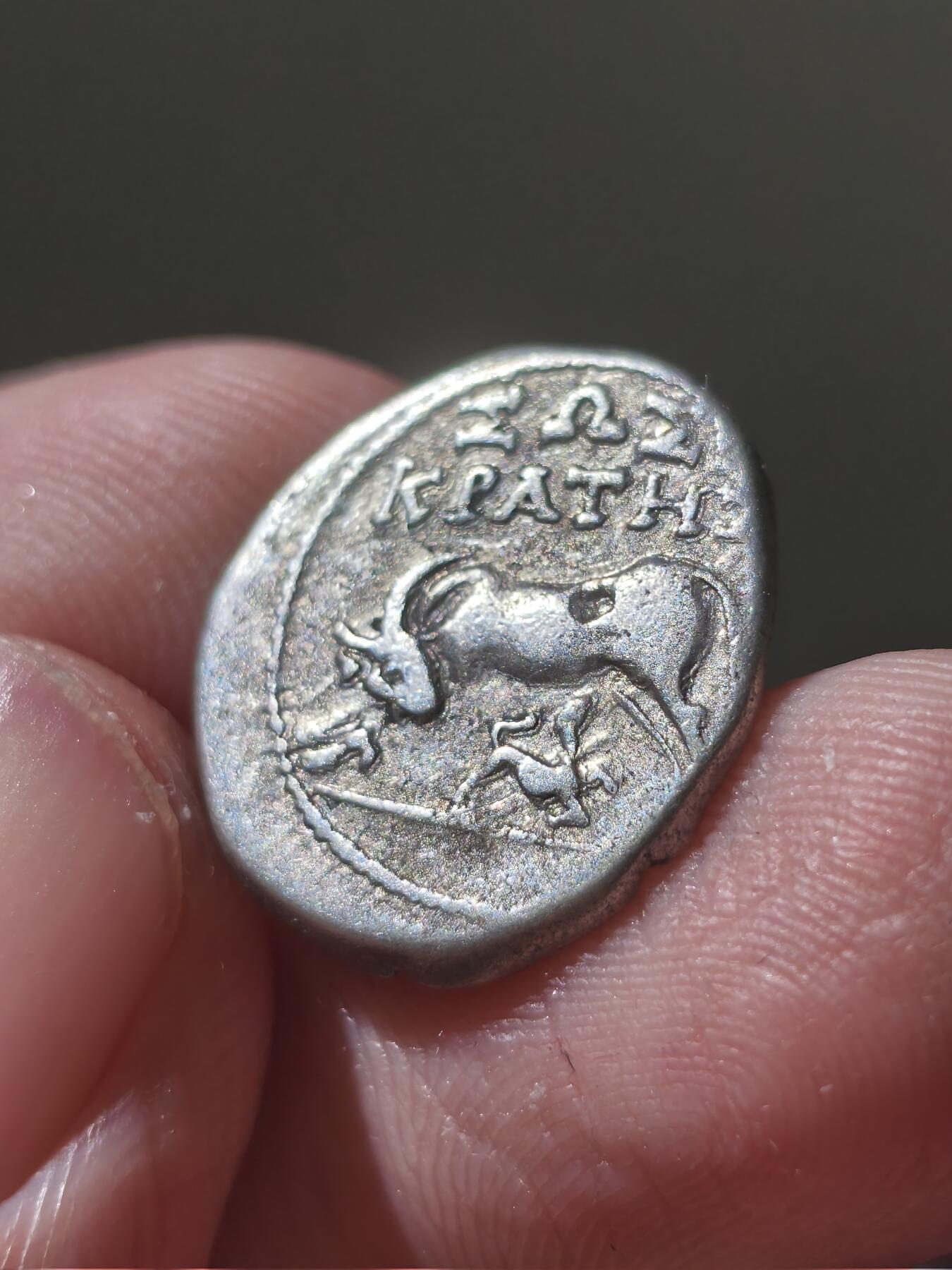 星盘世界钱币十二月六日古典币专场