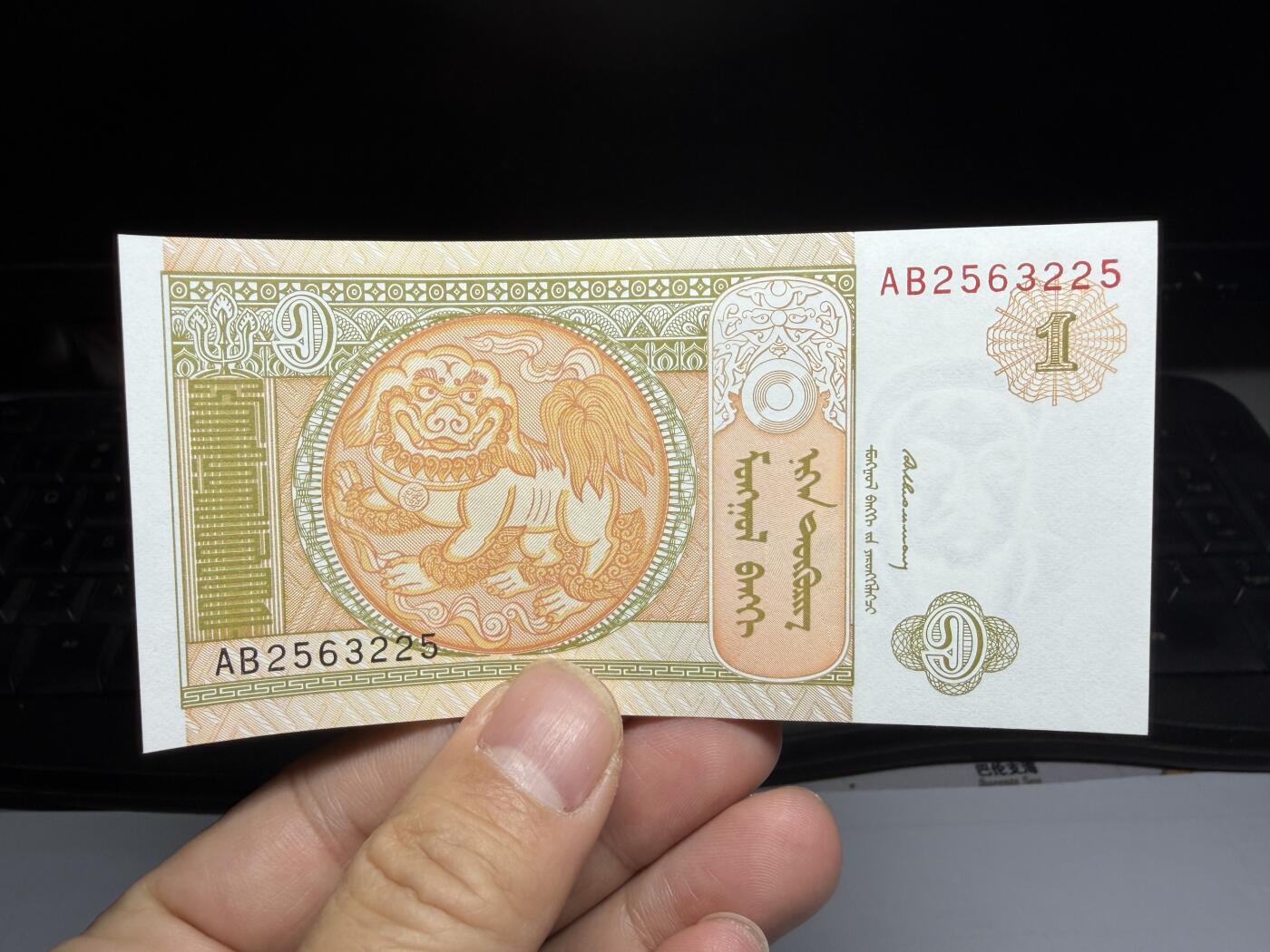 2025年集古藏今外币拍卖第十期-第10场—（总第290拍-纸币专场），本期拍完结算一次，发货时间2-3天，休息几天后继续新的一期拍卖。 1993年蒙古1图根里克