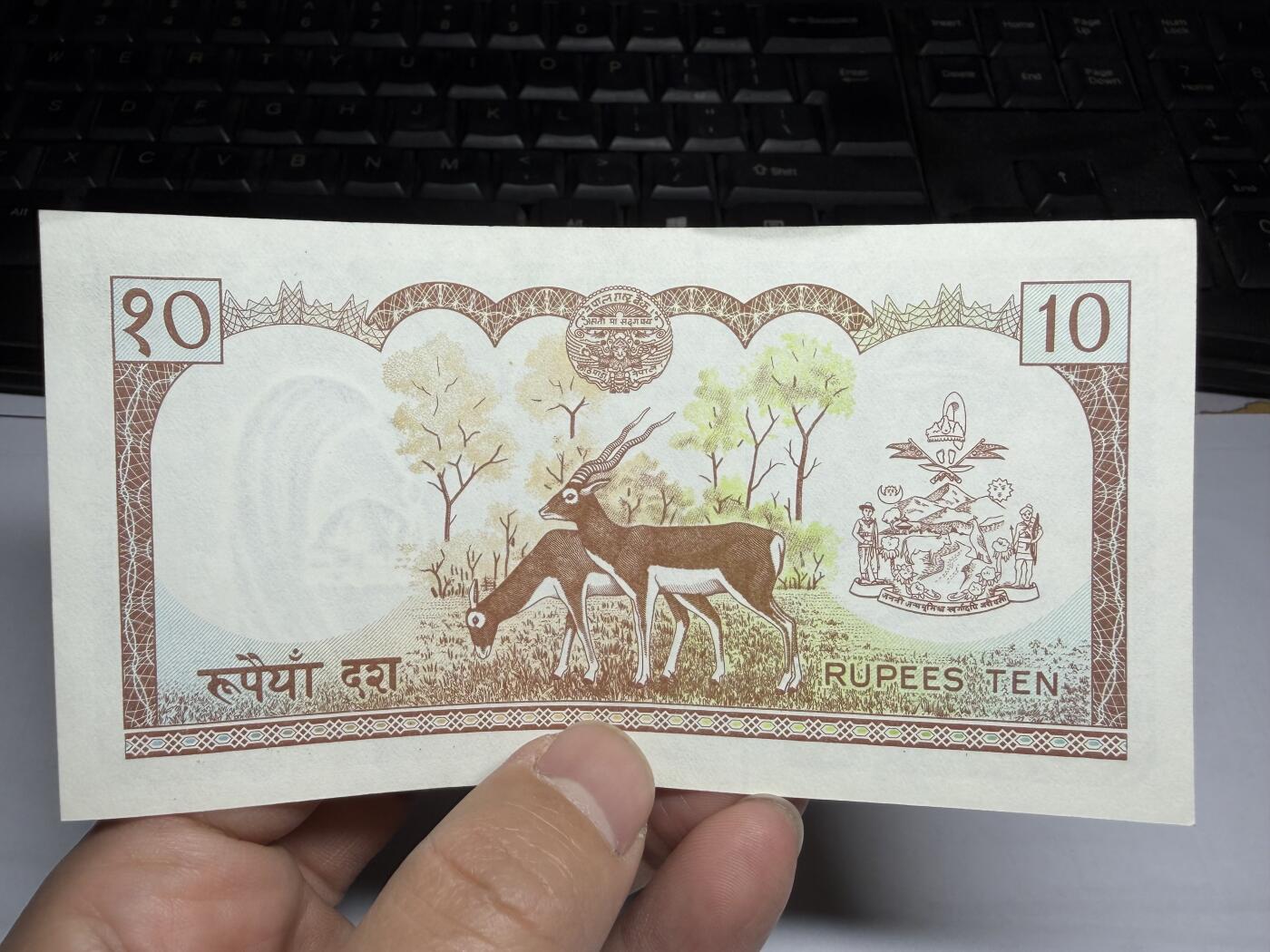 2025年集古藏今外币拍卖第十期-第10场—（总第290拍-纸币专场），本期拍完结算一次，发货时间2-3天，休息几天后继续新的一期拍卖。 尼泊尔10卢比