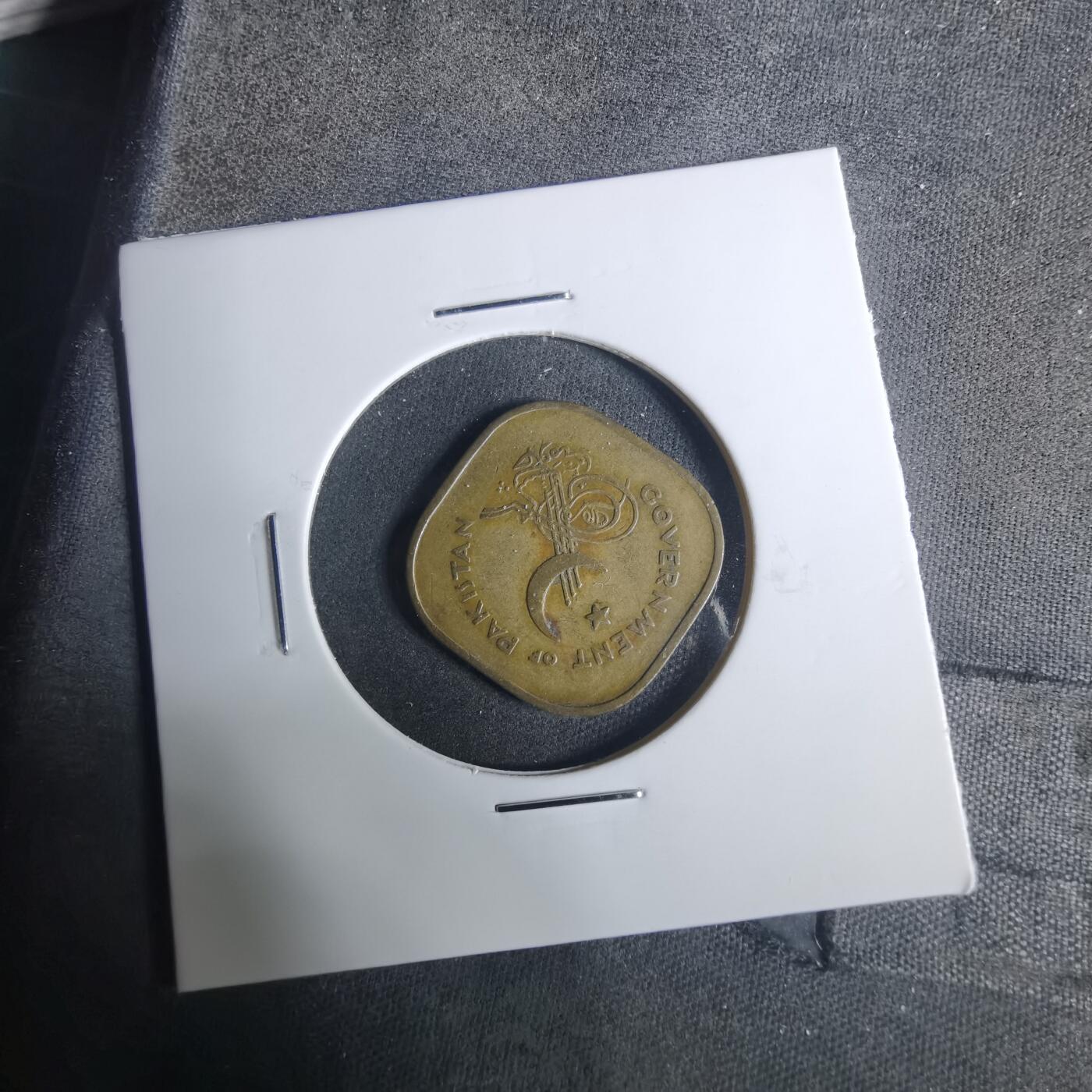 沼泽如烟--第919场