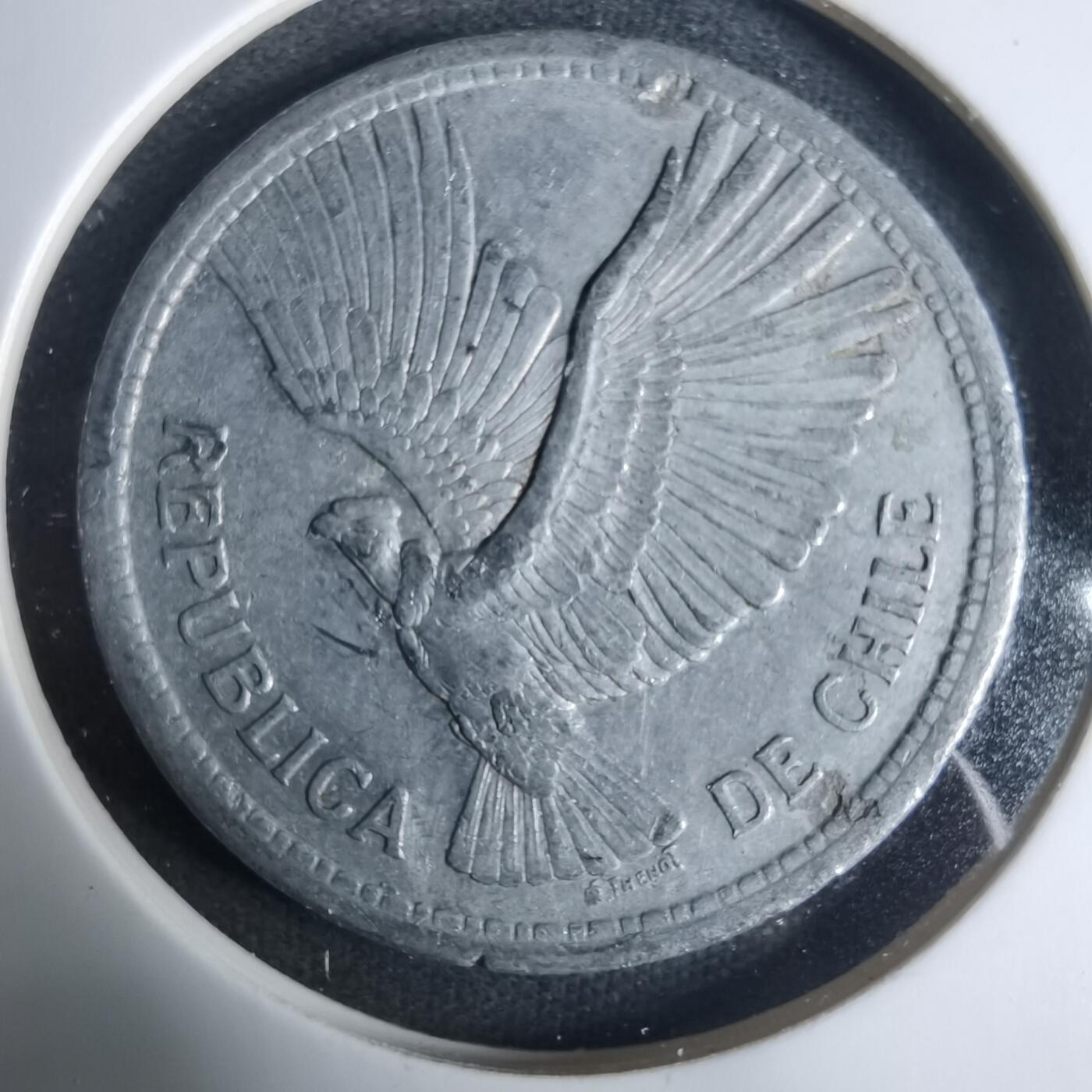 沼泽如烟--第919场