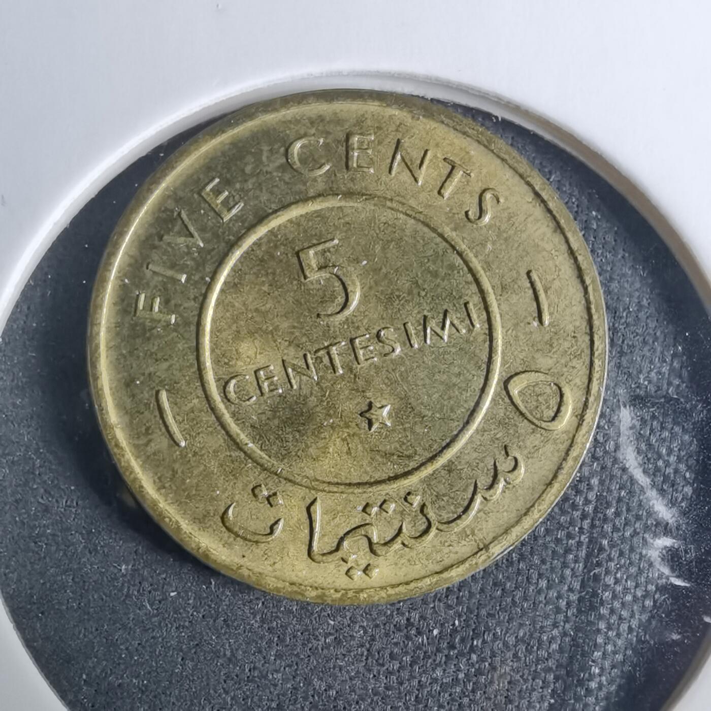 沼泽如烟--第919场