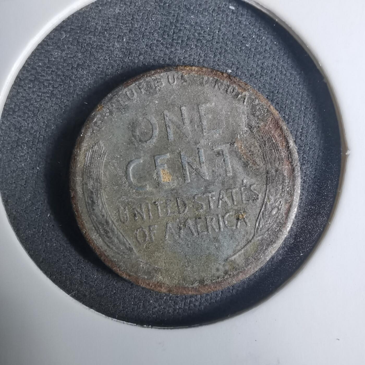 沼泽如烟--第919场