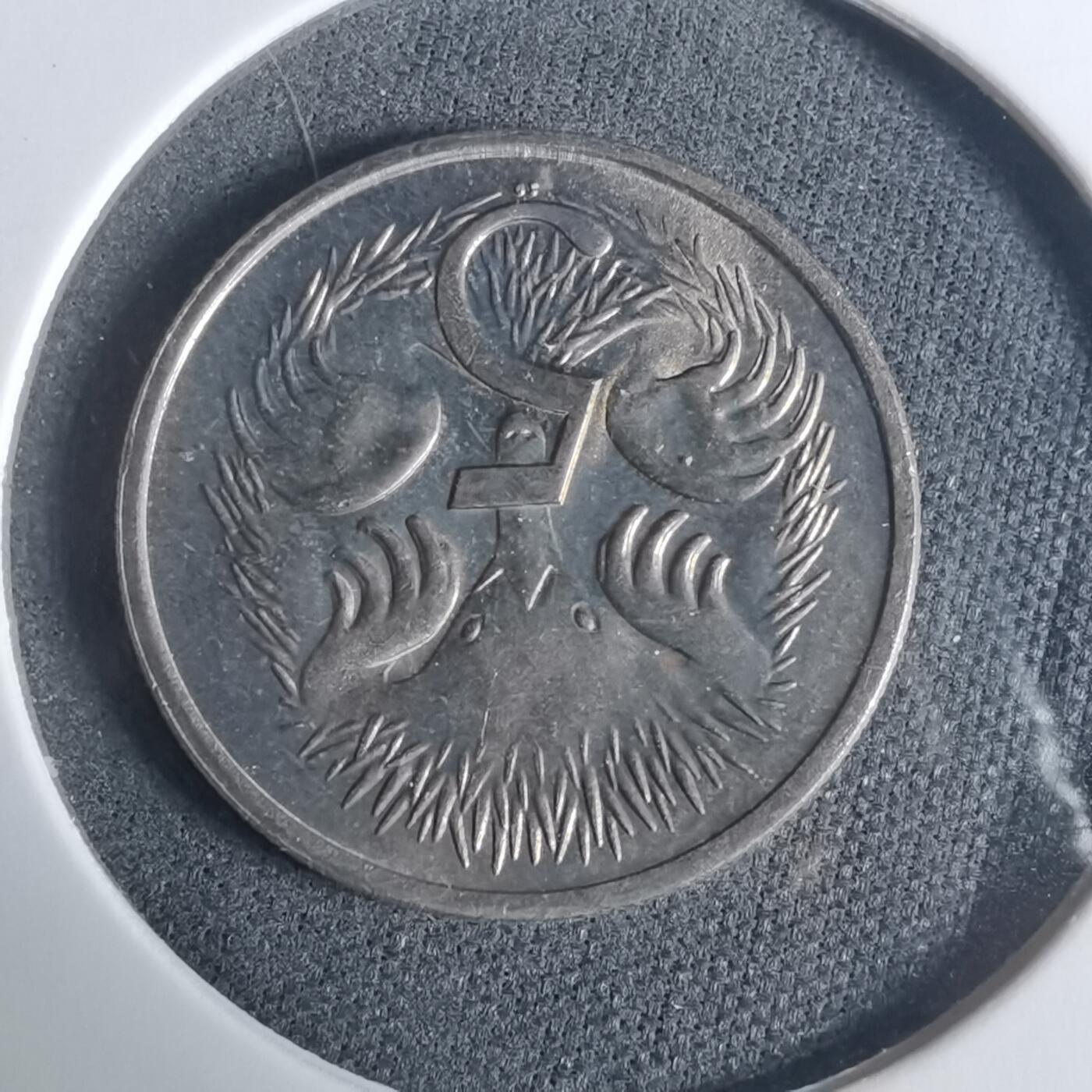 沼泽如烟--第919场