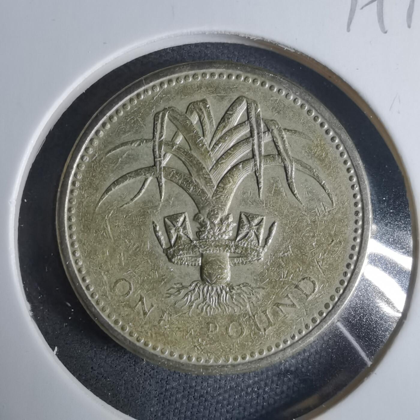 沼泽如烟--第919场