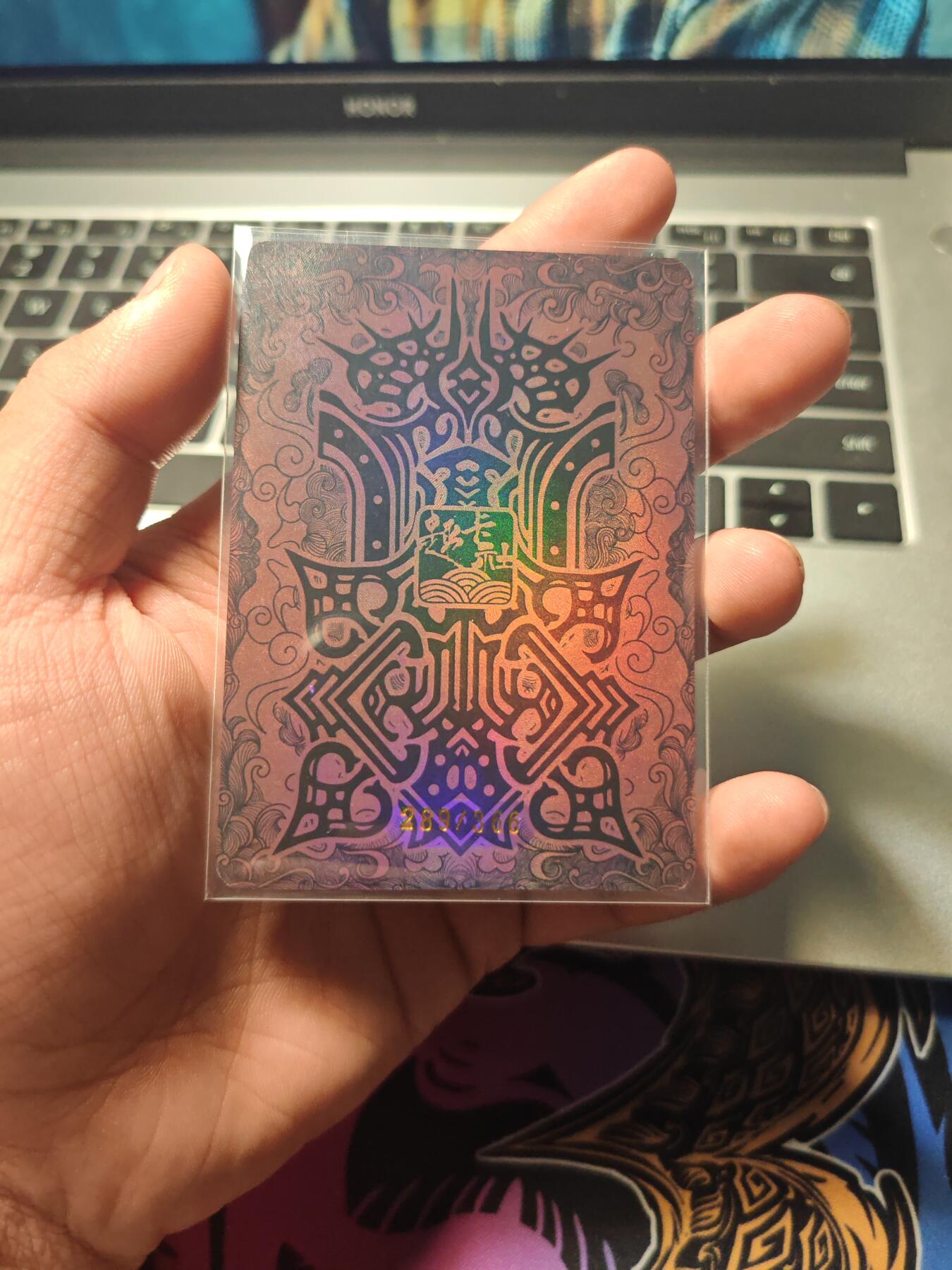 卡牌实验室开始第五次实验 （289/366）趣卡社 卫青群卡