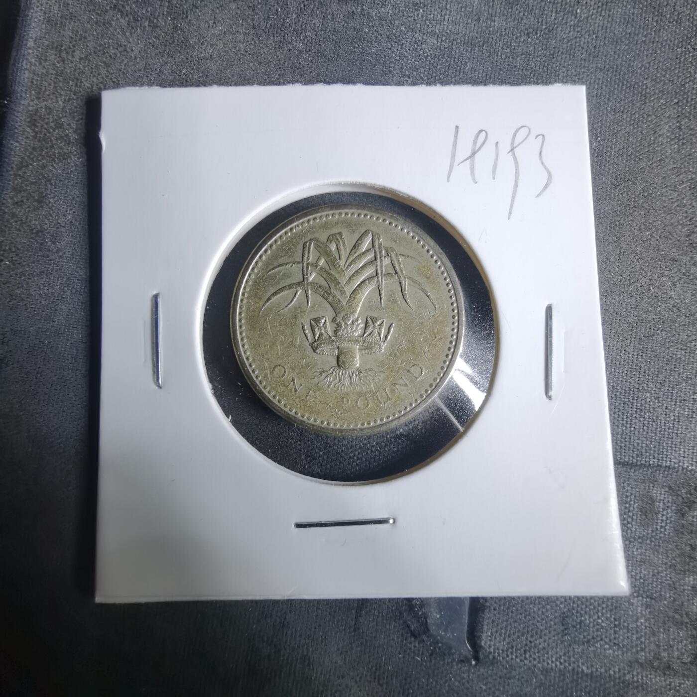 沼泽如烟--第919场