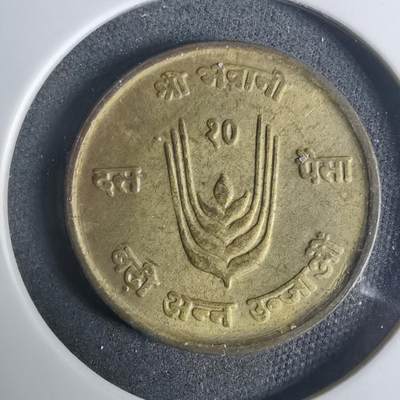 沼泽如烟--第919场 - 尼泊尔