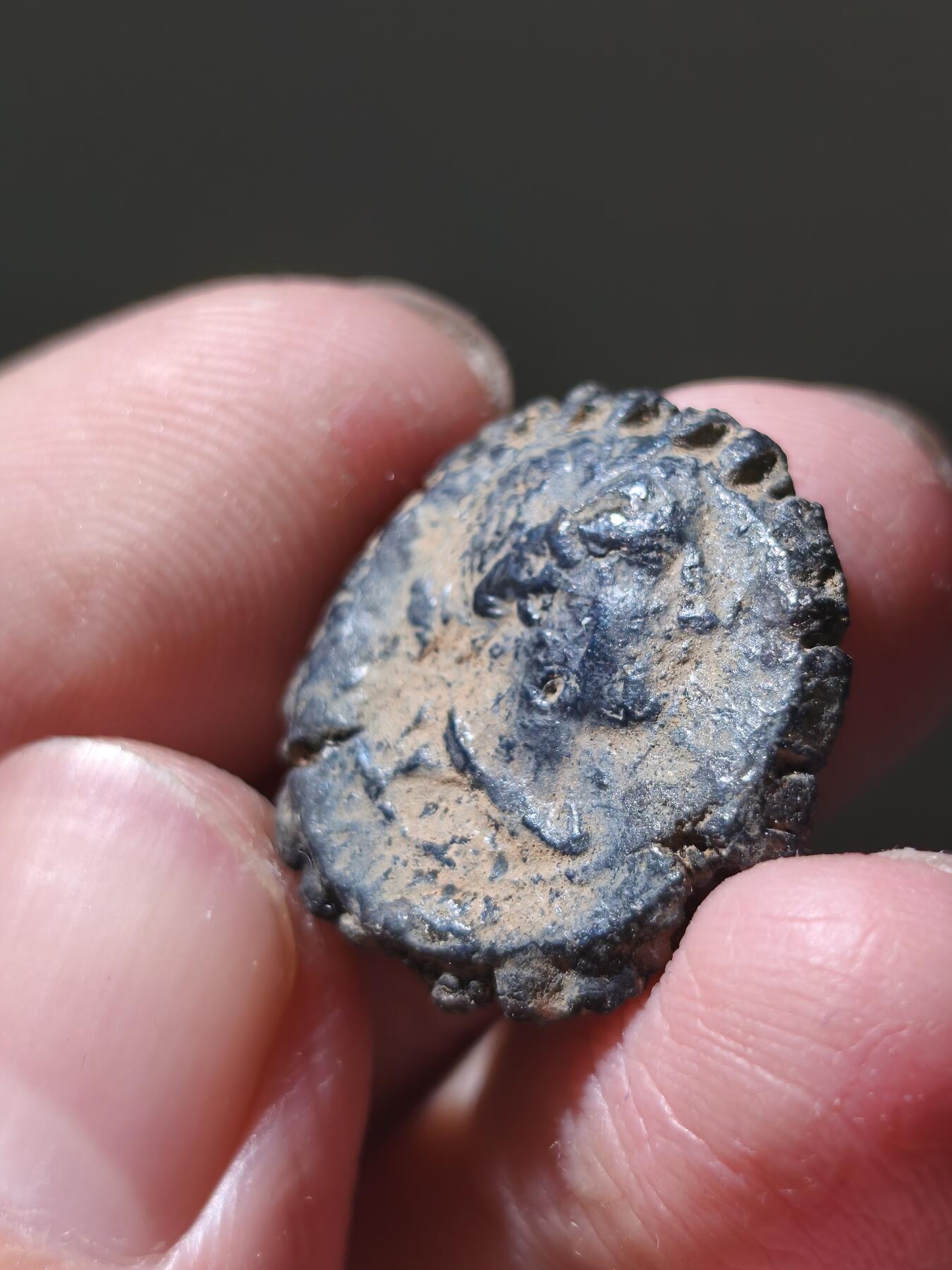 星盘世界钱币十二月六日古典币专场