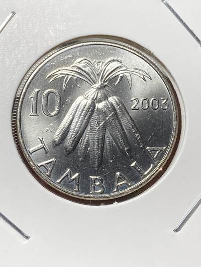 2025年第一百三十三场(总第一百五十九场）外国好品纸夹散币场(免佣金) - 马拉维🇲🇼2003年10坦巴拉(第四套关门年)