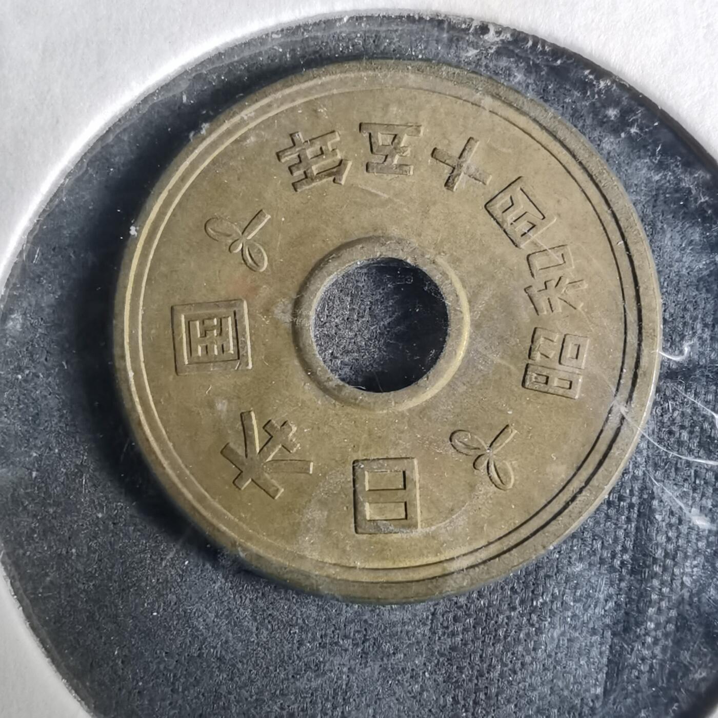 沼泽如烟--第919场