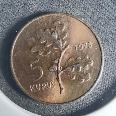 沼泽如烟--第919场 - 土耳其1973年5库鲁