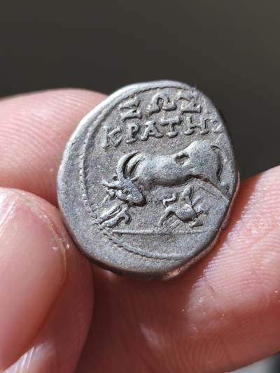 星盘世界钱币十二月六日古典币专场 - 精品！古希腊 伊利里亚地区 约公元前229-100年 哺乳牛犊一德拉克马银币。这个根据上面的铭文可以查到具体的铸币官，属于非常有意思品种