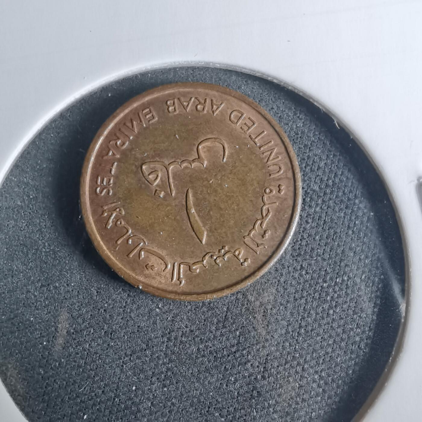 沼泽如烟--第919场