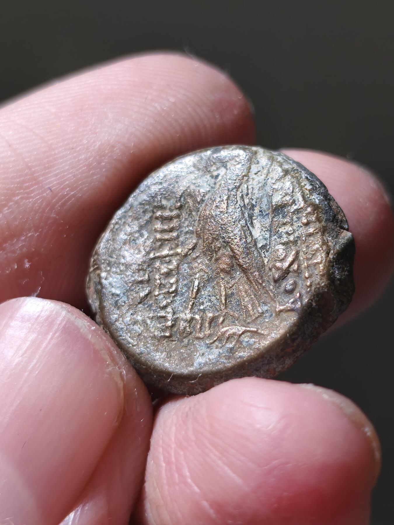 星盘世界钱币十二月六日古典币专场