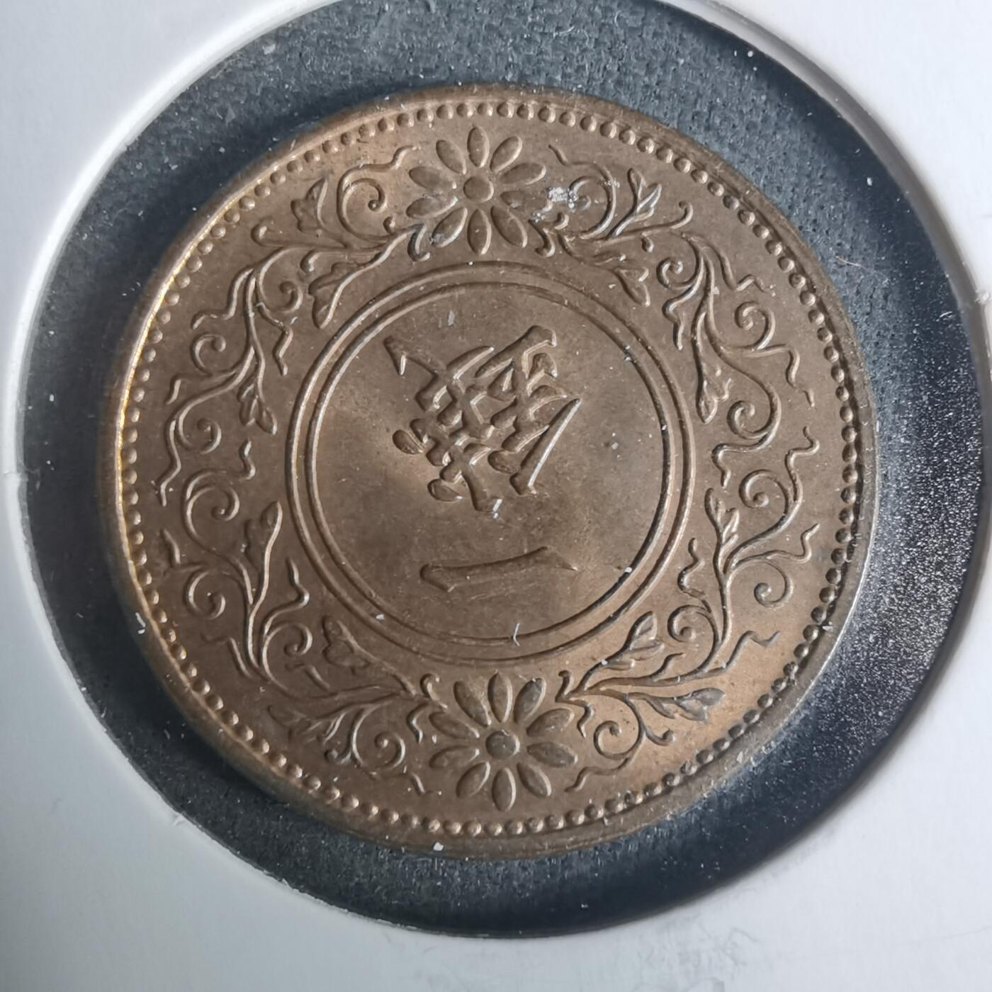 沼泽如烟--第919场